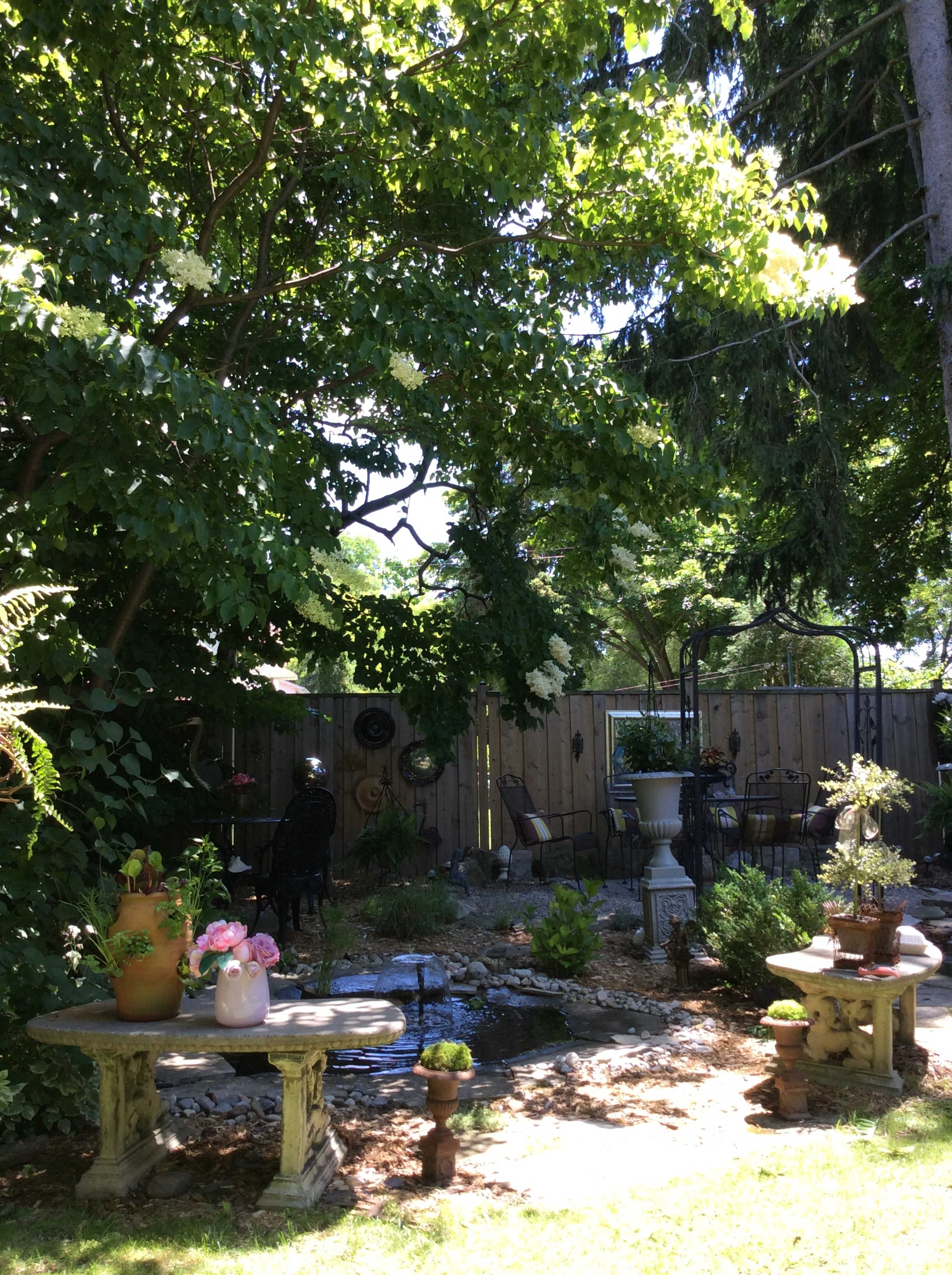 The image shows a garden with benches, a small pond, and various plants under a canopy of trees.