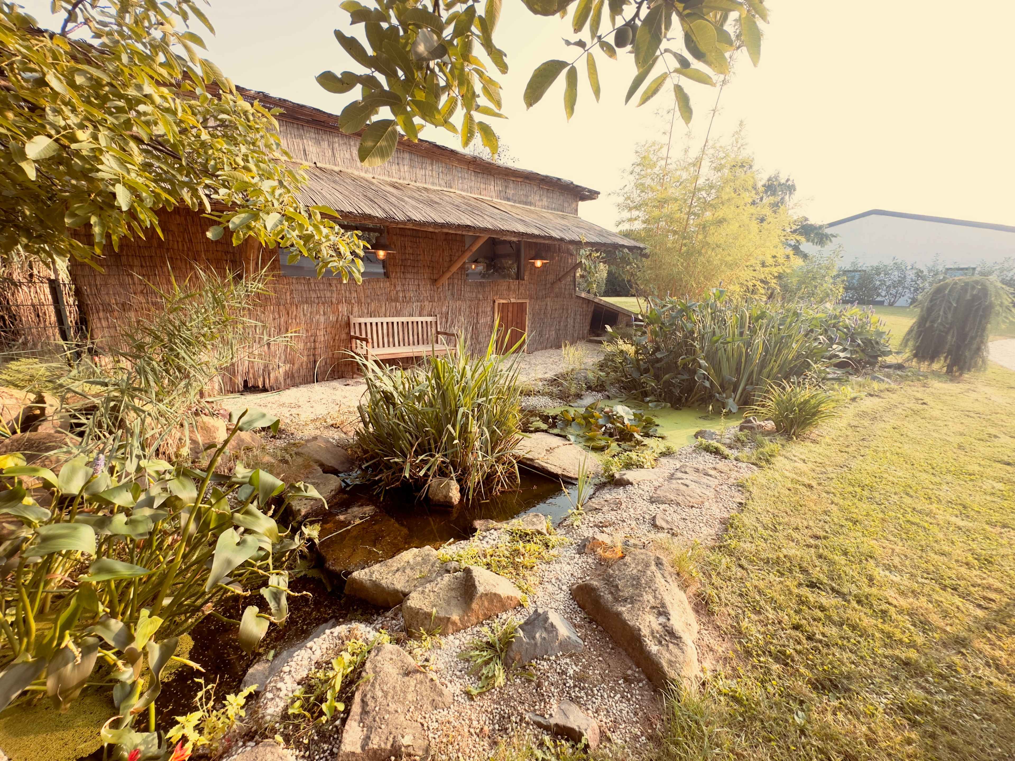 Luxus-Spa, Bar, Weinkeller & Billard Image in , Leverkusen