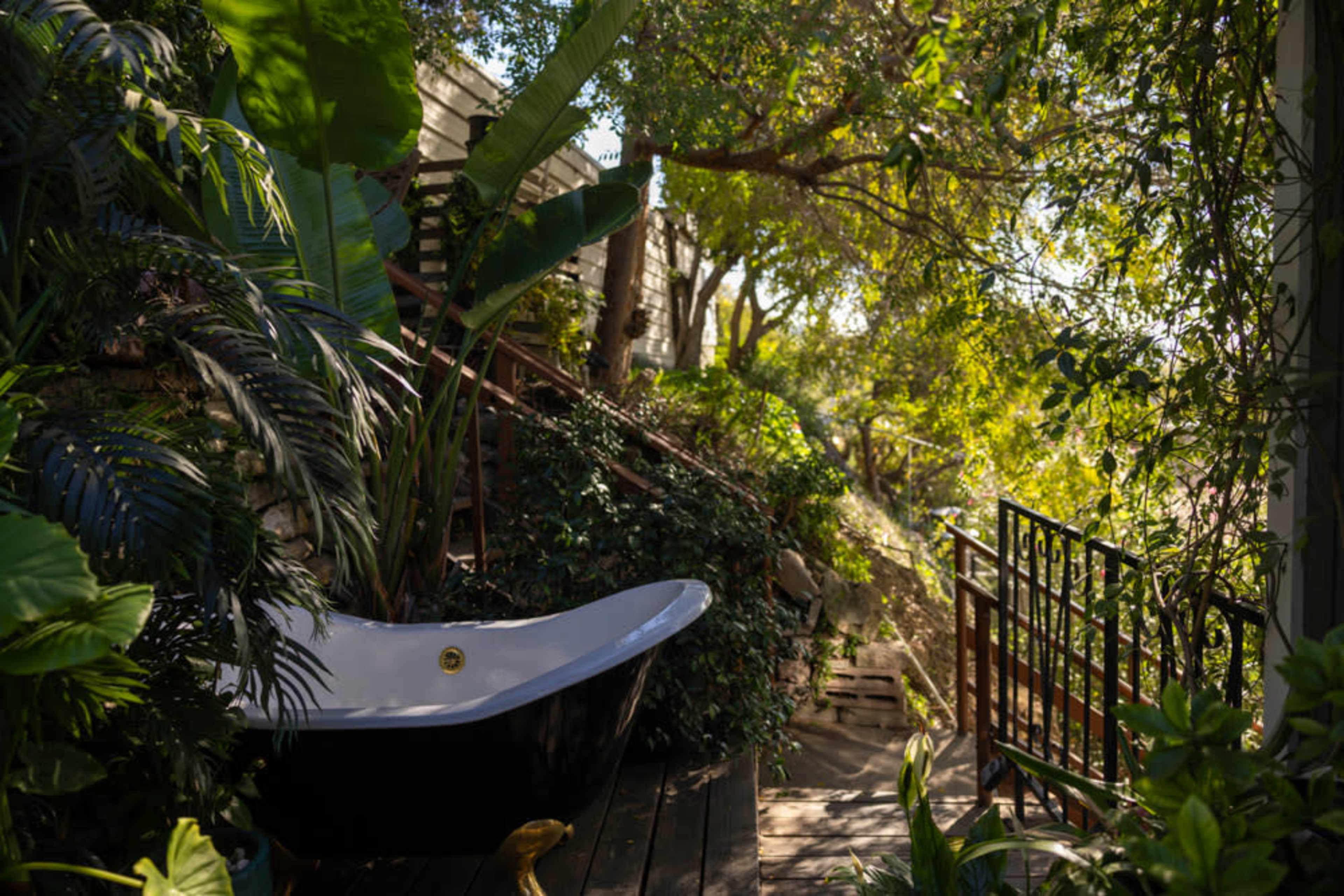 A vintage bathtub is nestled among lush greenery along a wooden pathway that leads upward.
