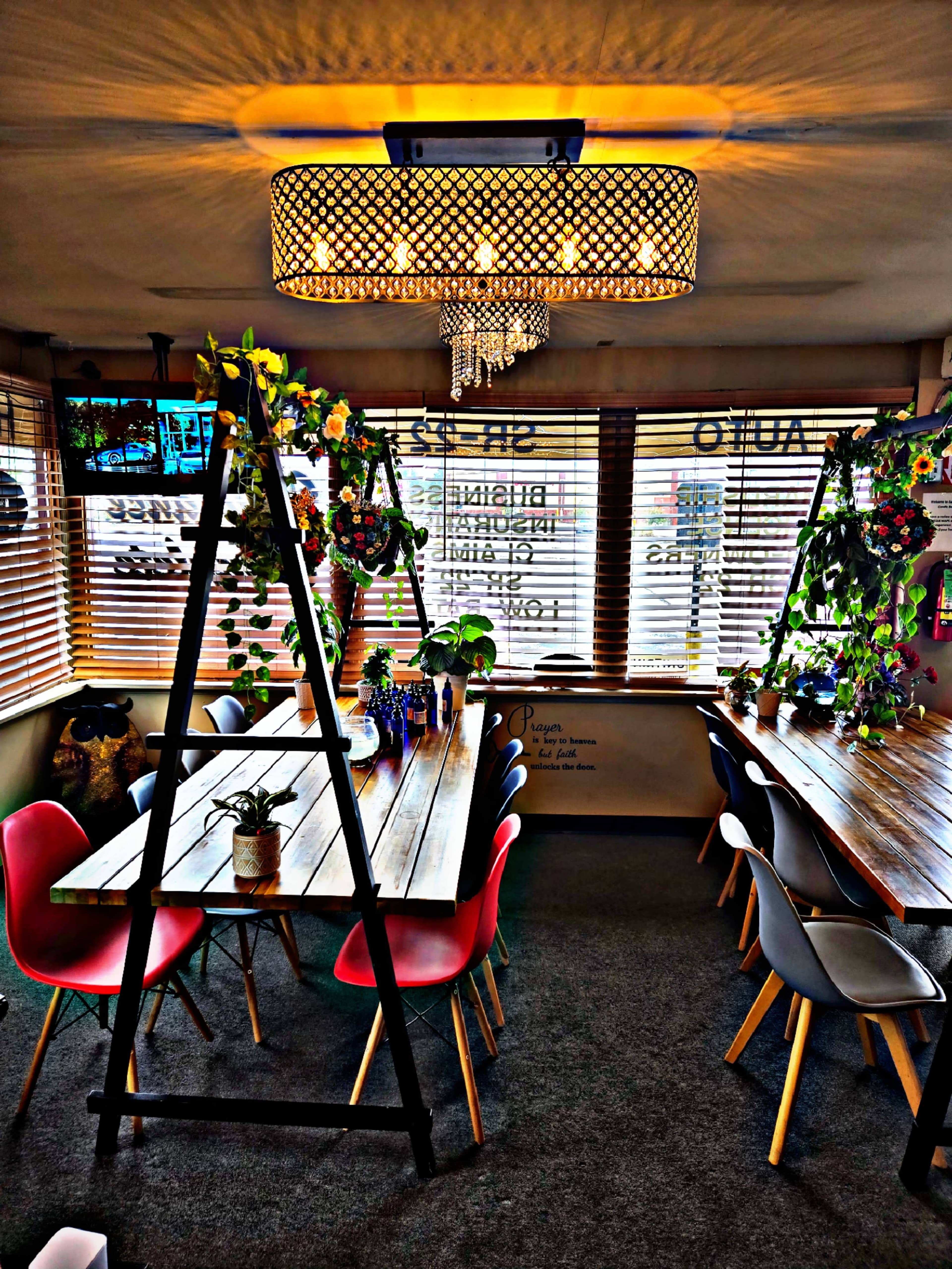 The image shows a cozy, well-lit café with wooden tables, colorful chairs, and decorative plants hanging from the ceiling.