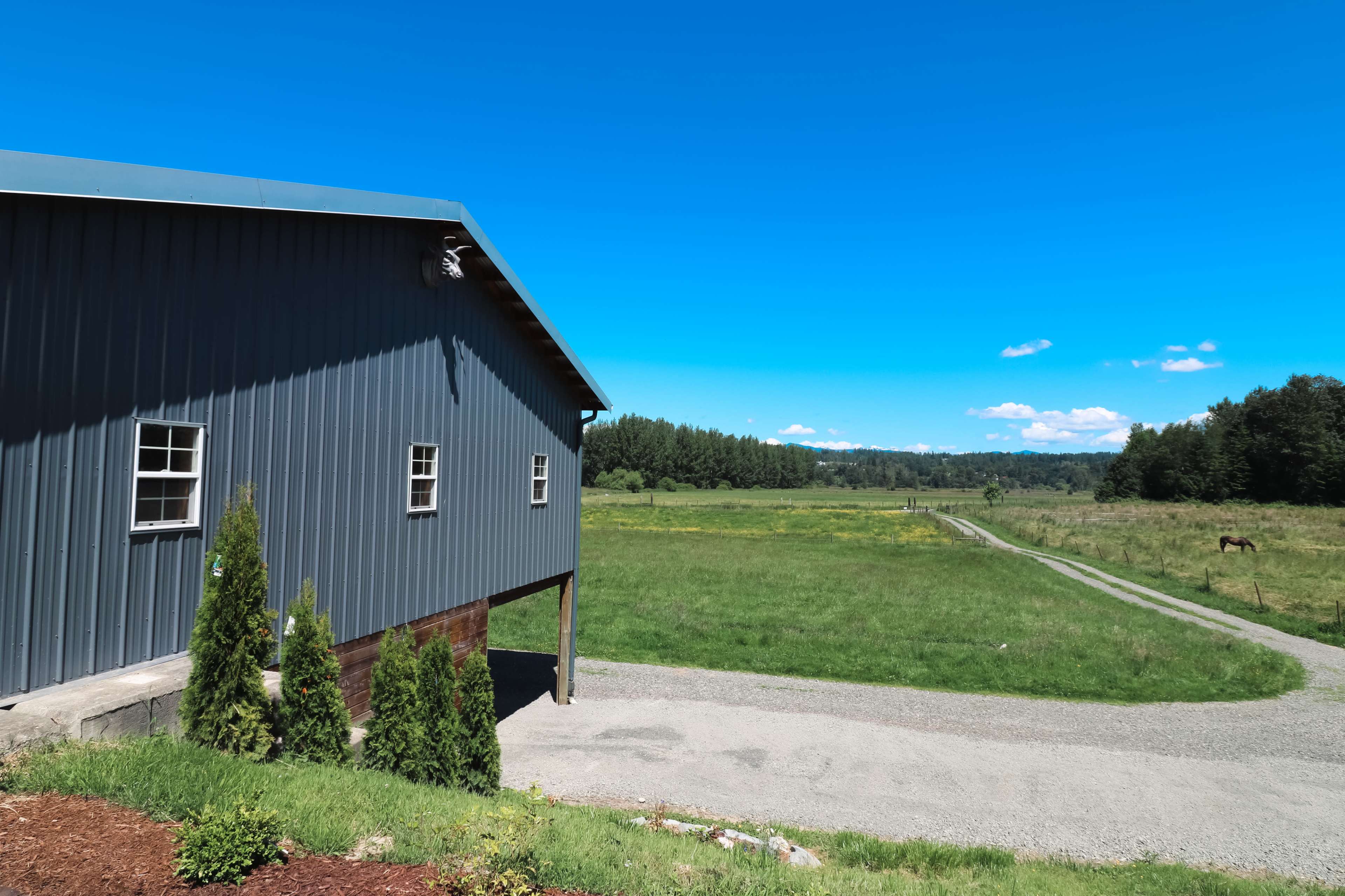 A gray metal barn stands beside a gravel path leading through a green field with a horse in the distance under a clear blue sky.