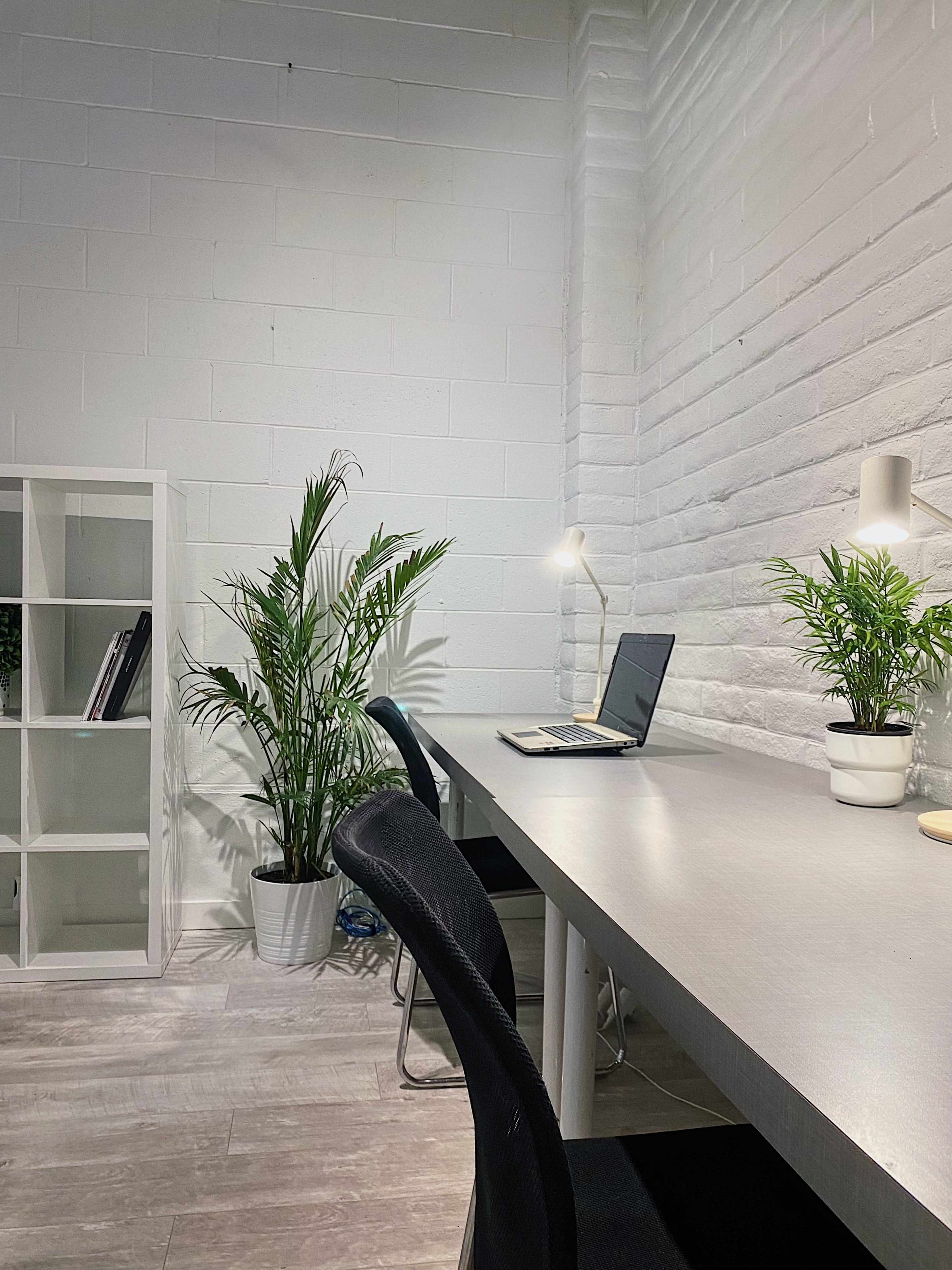 The image shows a modern workspace featuring a desk with a laptop, a chair, and a bookshelf, along with two potted plants against a white wall.