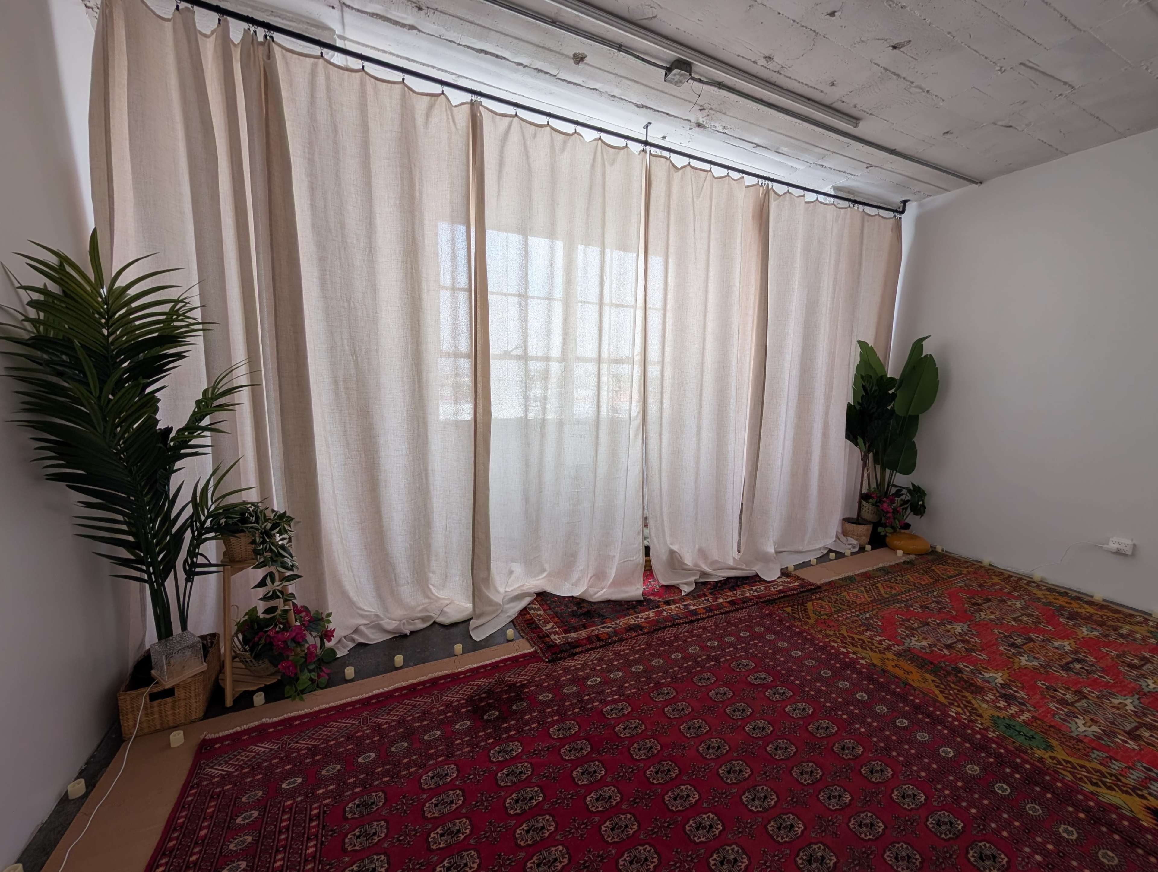 The image shows a room with large, sheer curtains, a patterned rug on the floor, and potted plants along the walls.
