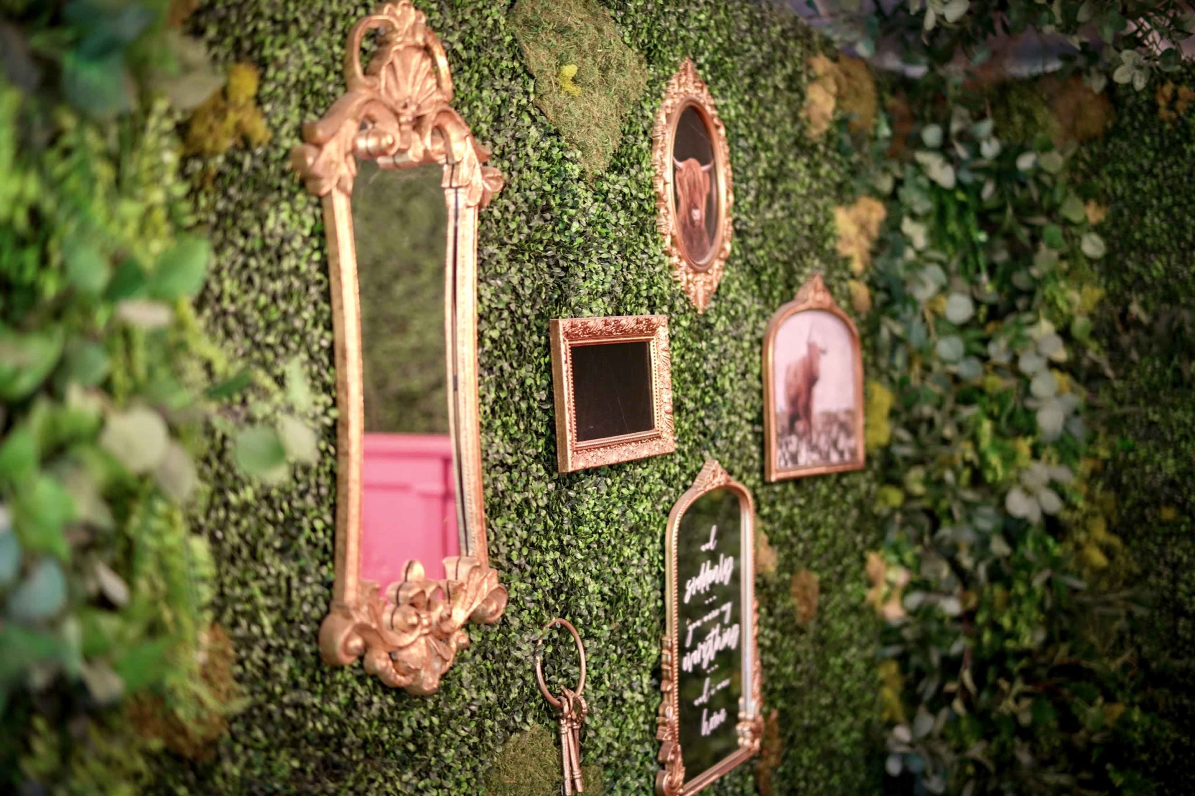 A lush green wall covered with moss and decorative picture frames in various shapes.