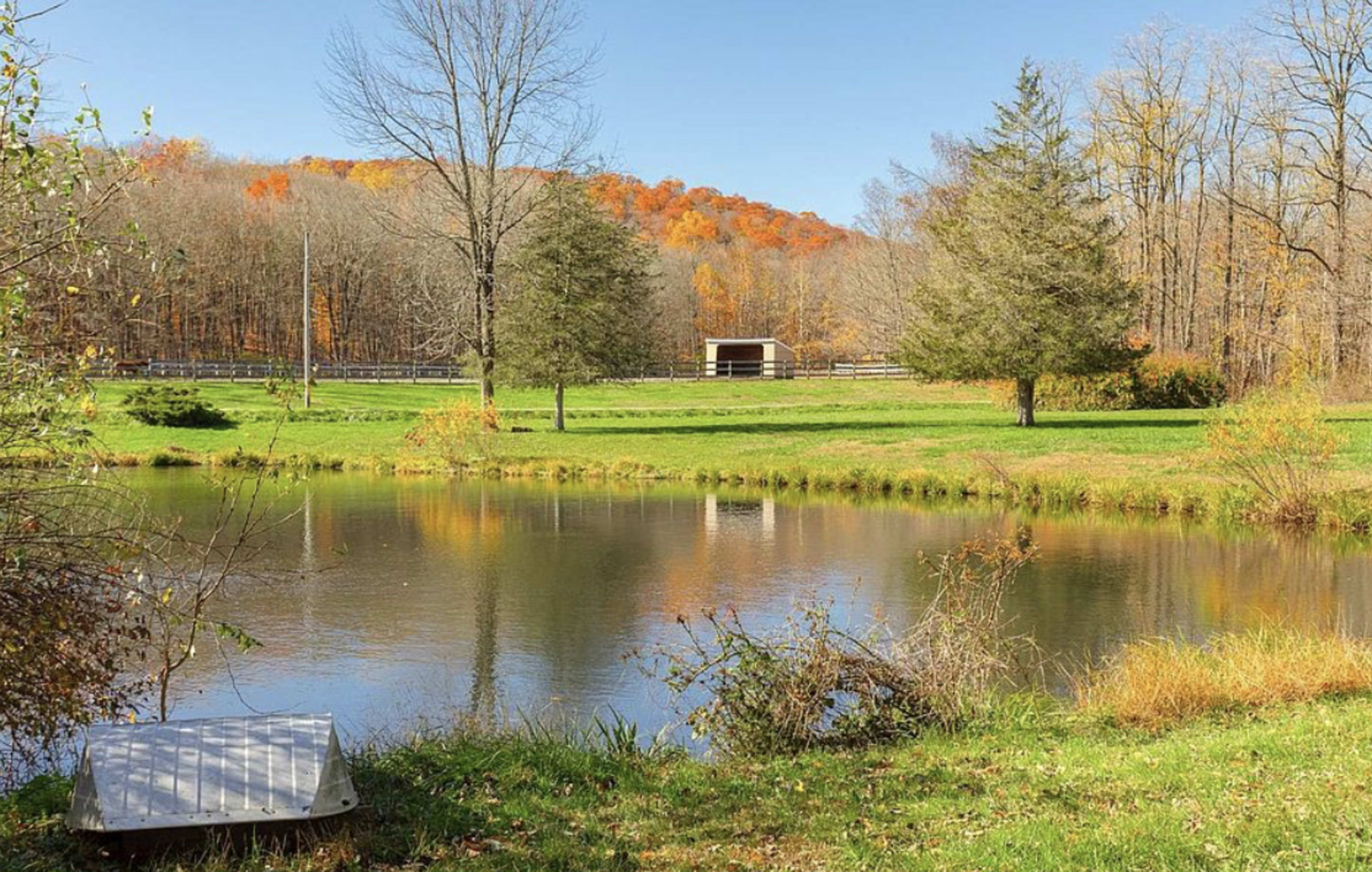 Barns, country setting, pond and Turn of the century larg home Image in Stanford, Stanfordville, NY