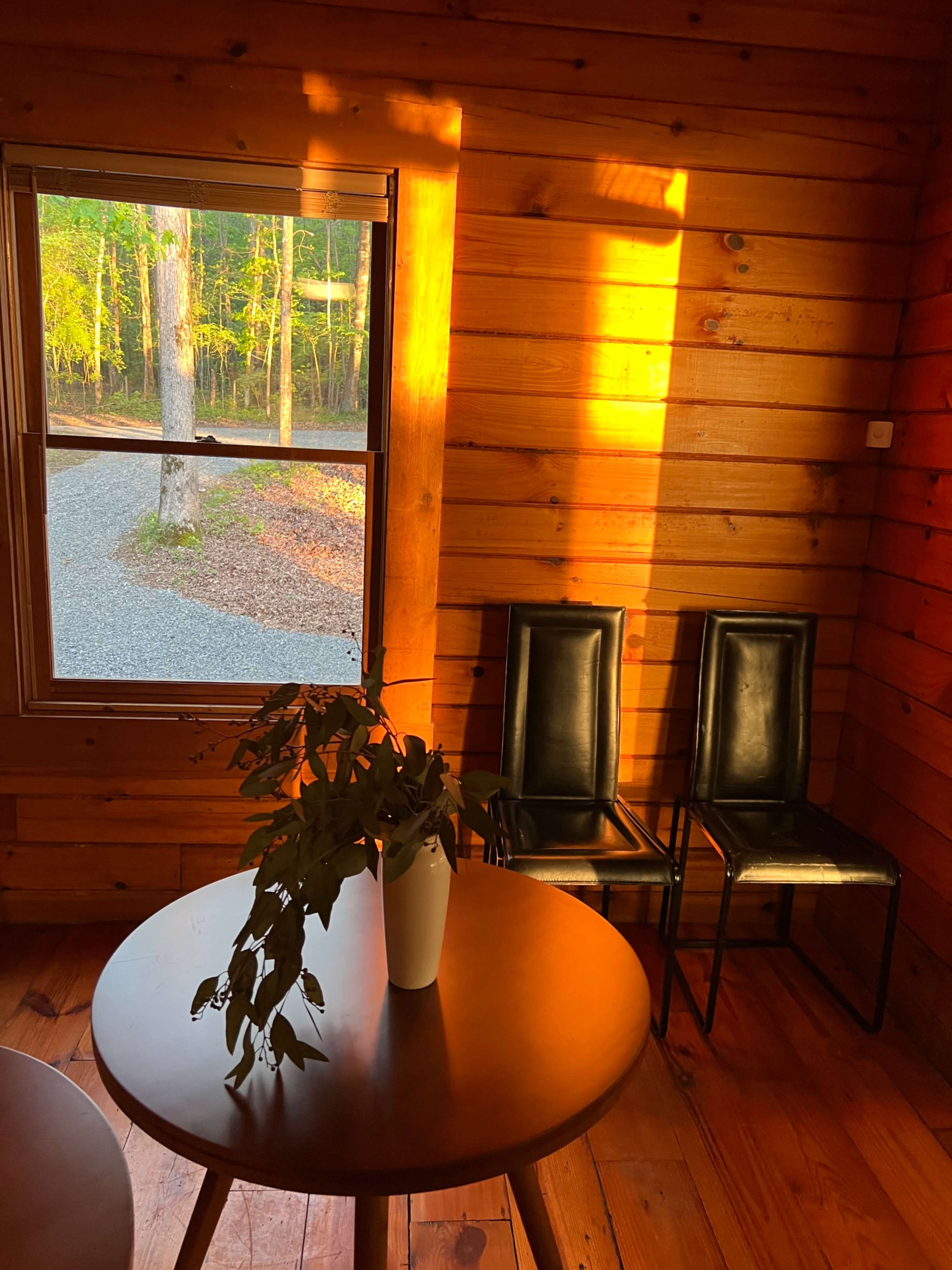 A small wooden room features a round table with a potted plant, two black chairs, and sunlight streaming through a window.