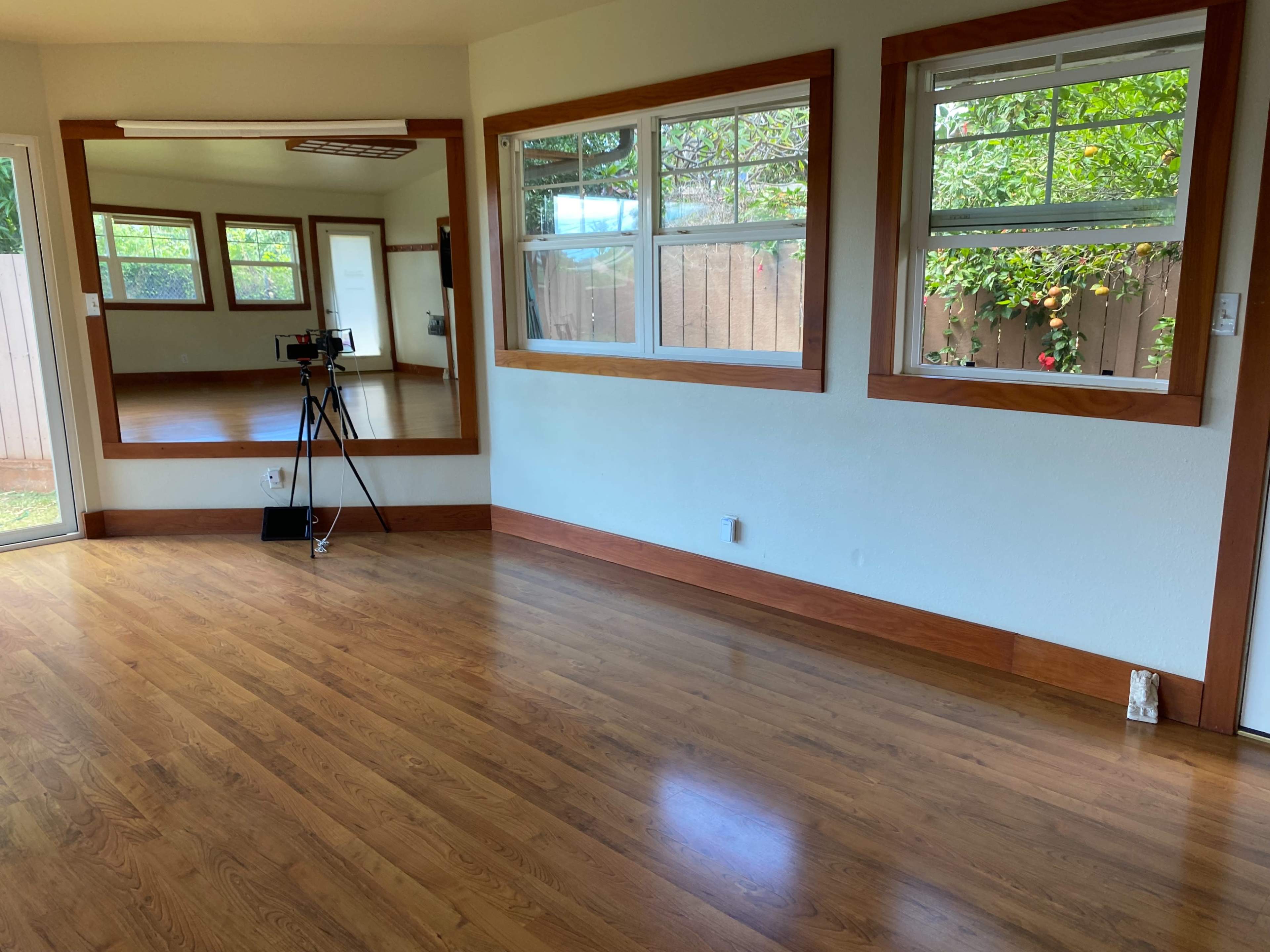 A room with wooden flooring, large windows, and a camera mounted on a tripod.