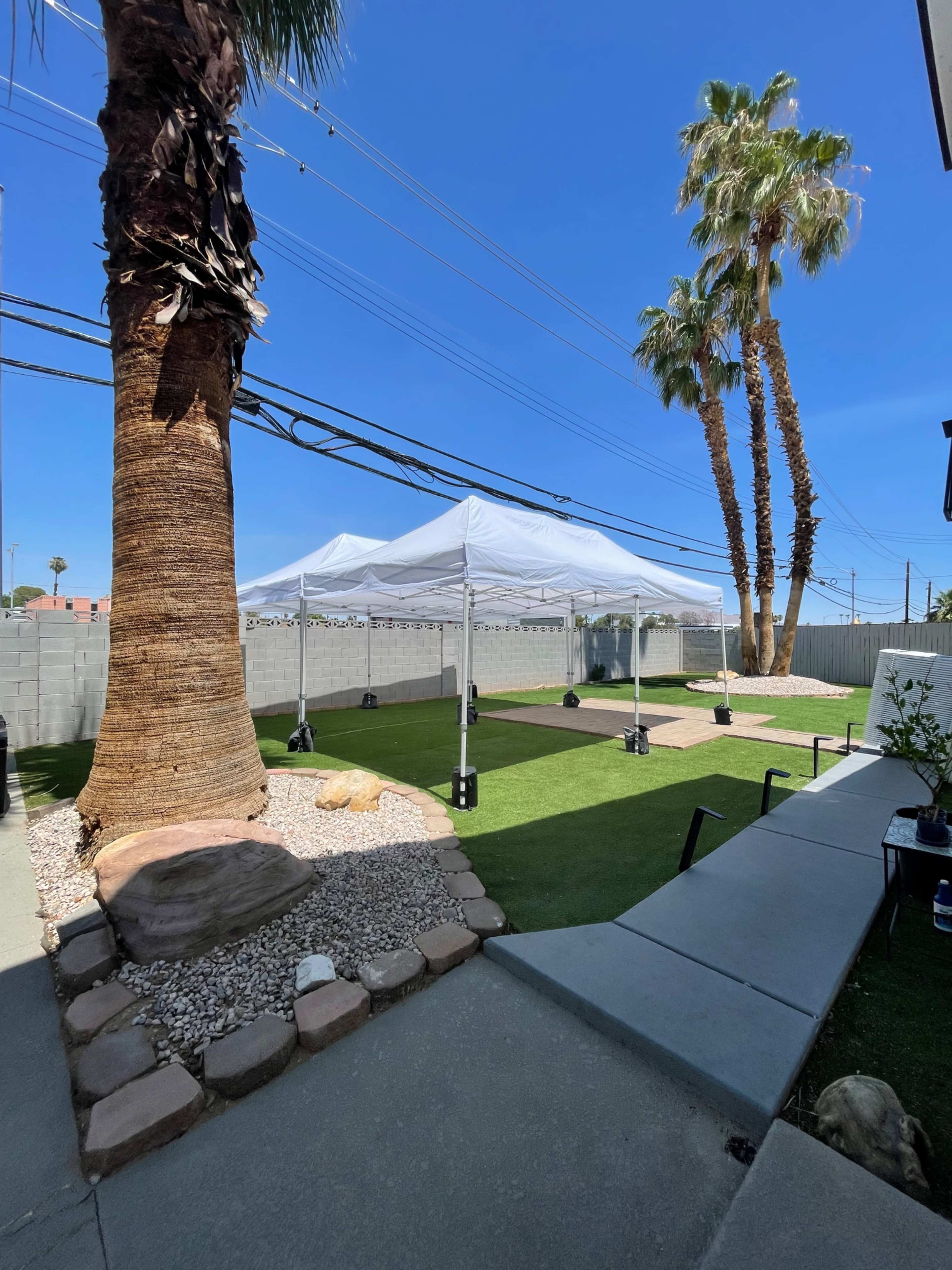 A white canopy tent is set up on a grassy area surrounded by palm trees and a stone pathway.