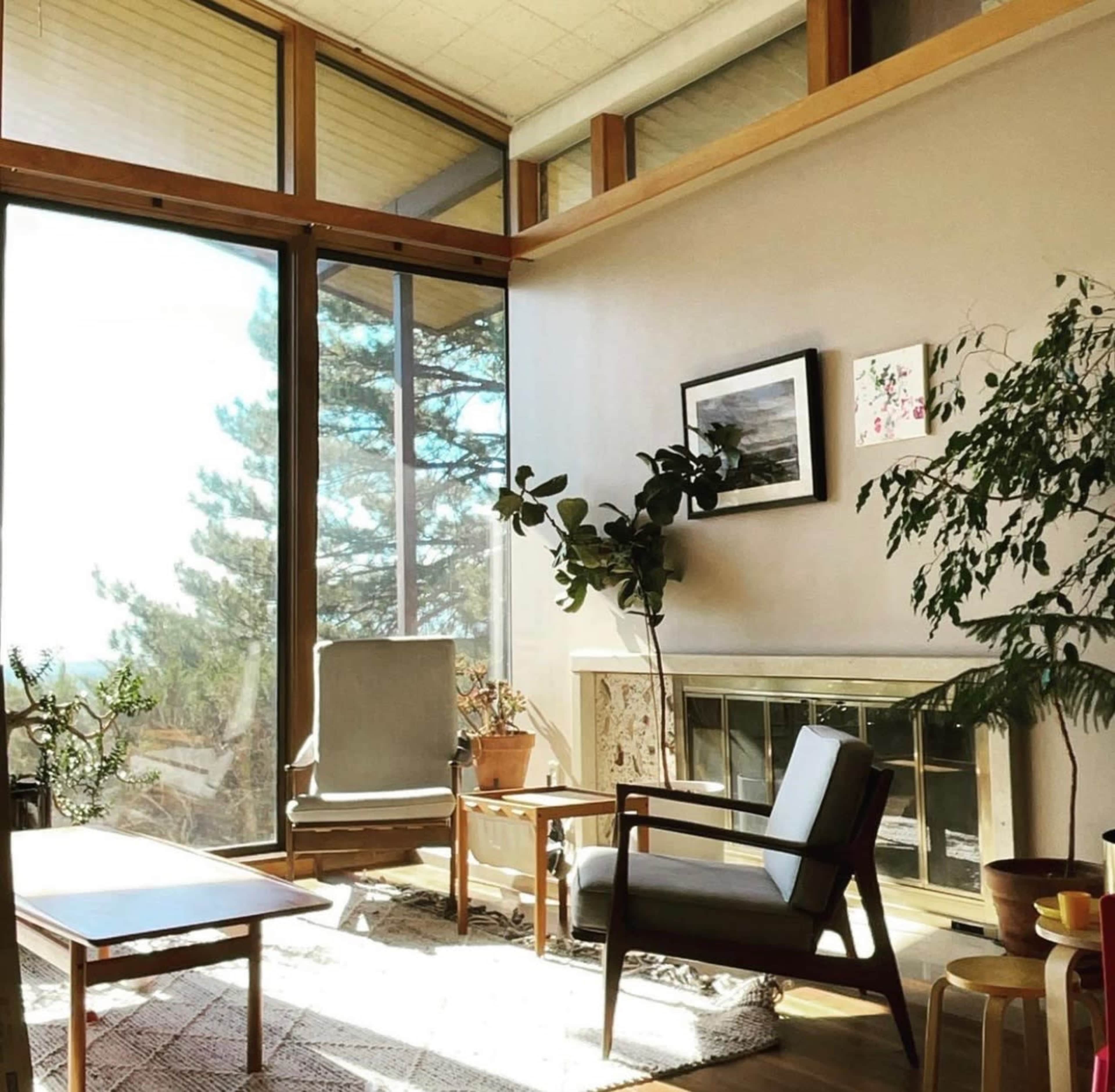 A sunlit room features two chairs, a coffee table, plants, and a fireplace, with large windows providing views of trees outside.