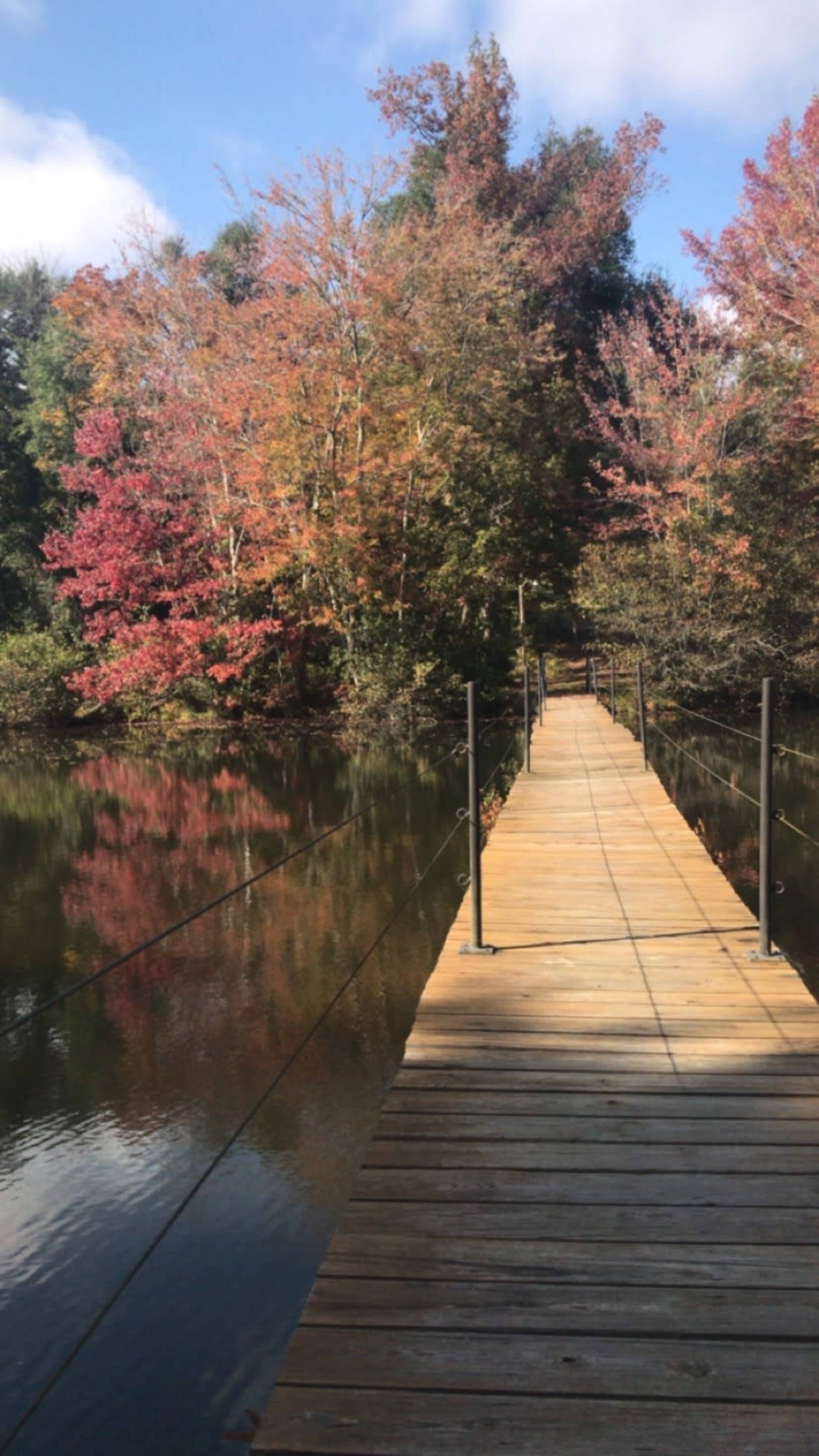 A wooden walkway extends over a calm body of water, flanked by trees displaying vibrant autumn foliage.