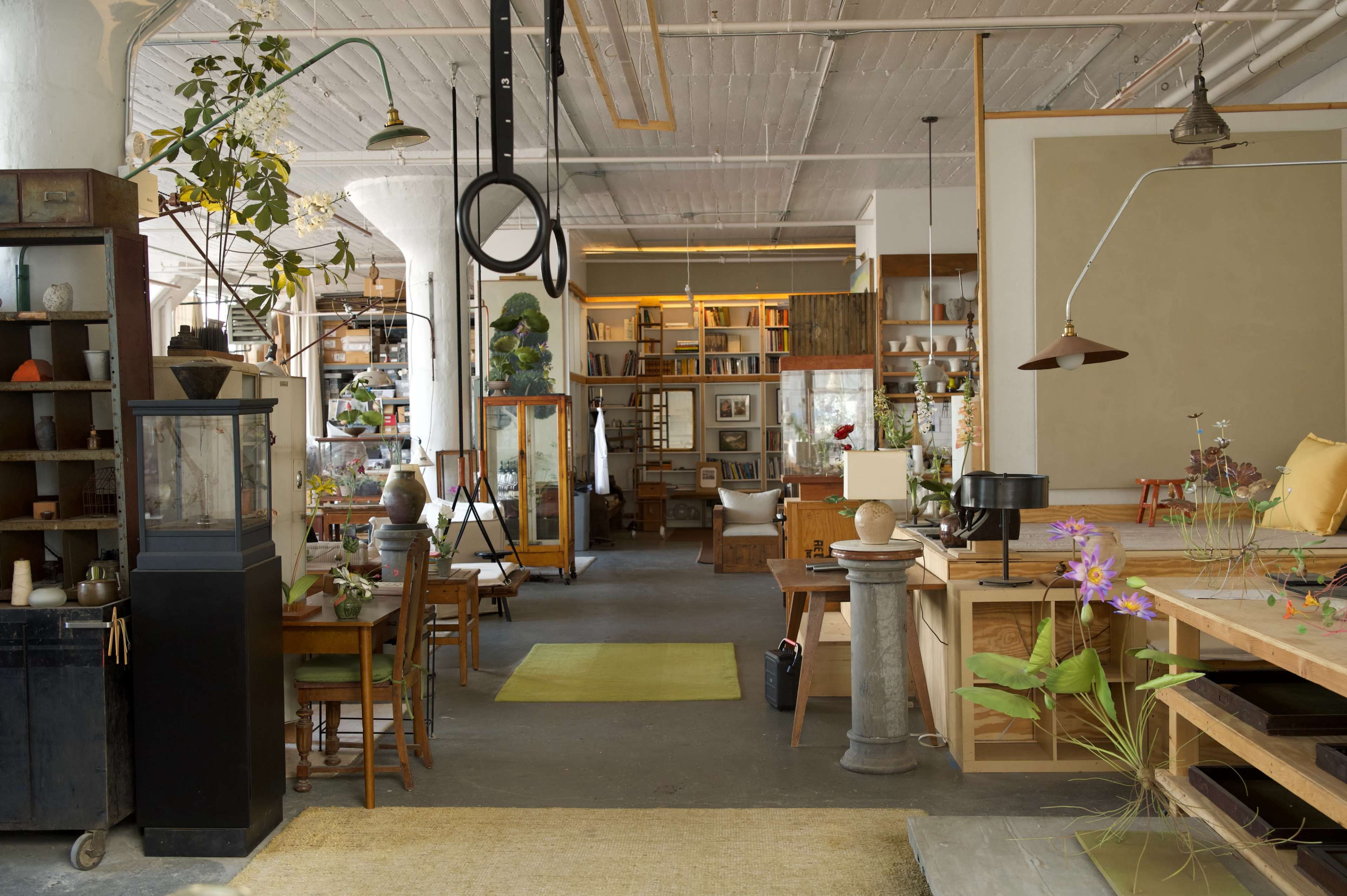 The image depicts a spacious interior with wooden furniture, shelves filled with books, plants, and decorative items arranged throughout the room.