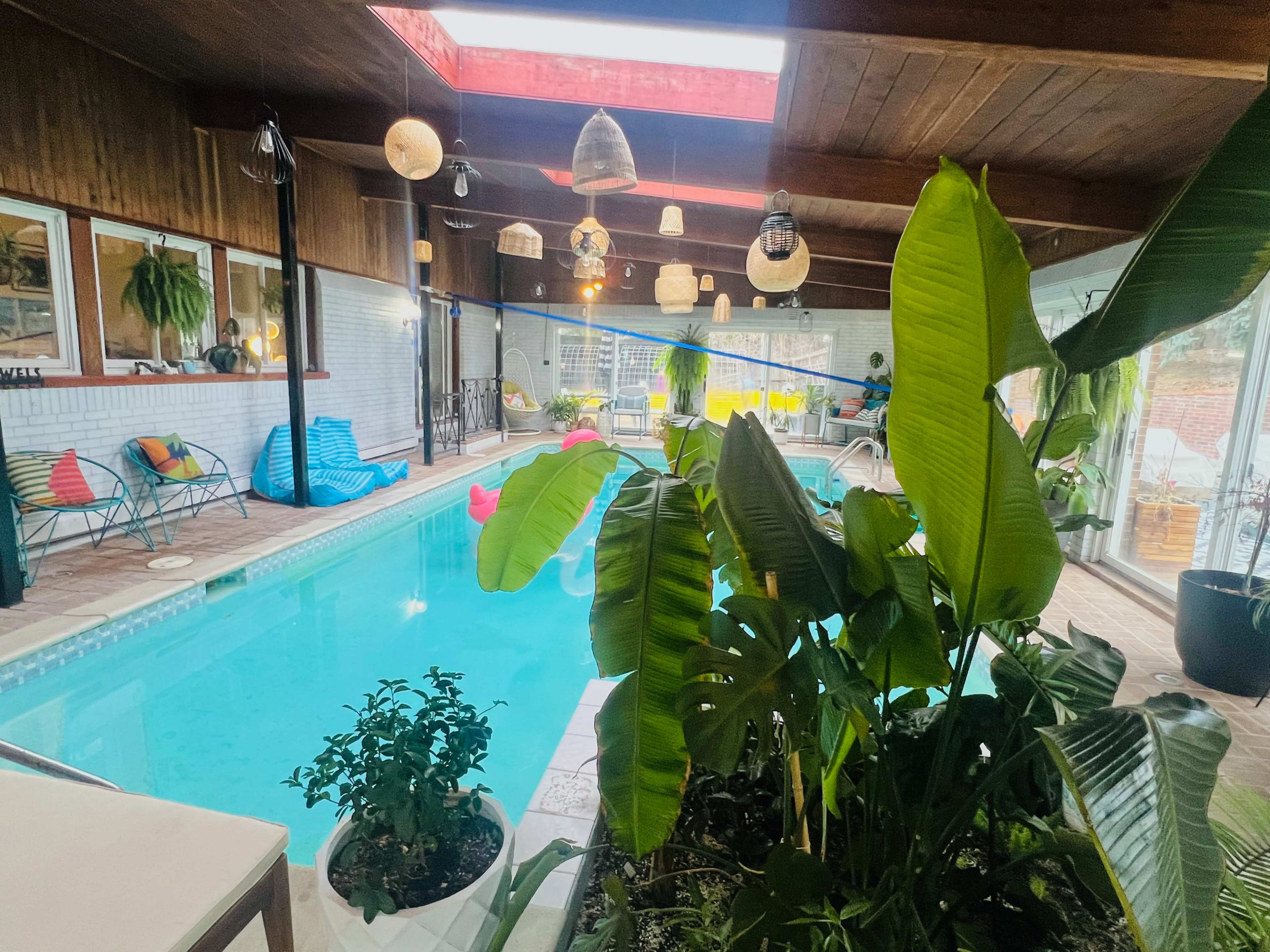 Tropical Indoor Swimming Oasis Image in Hampden South, Denver, CO