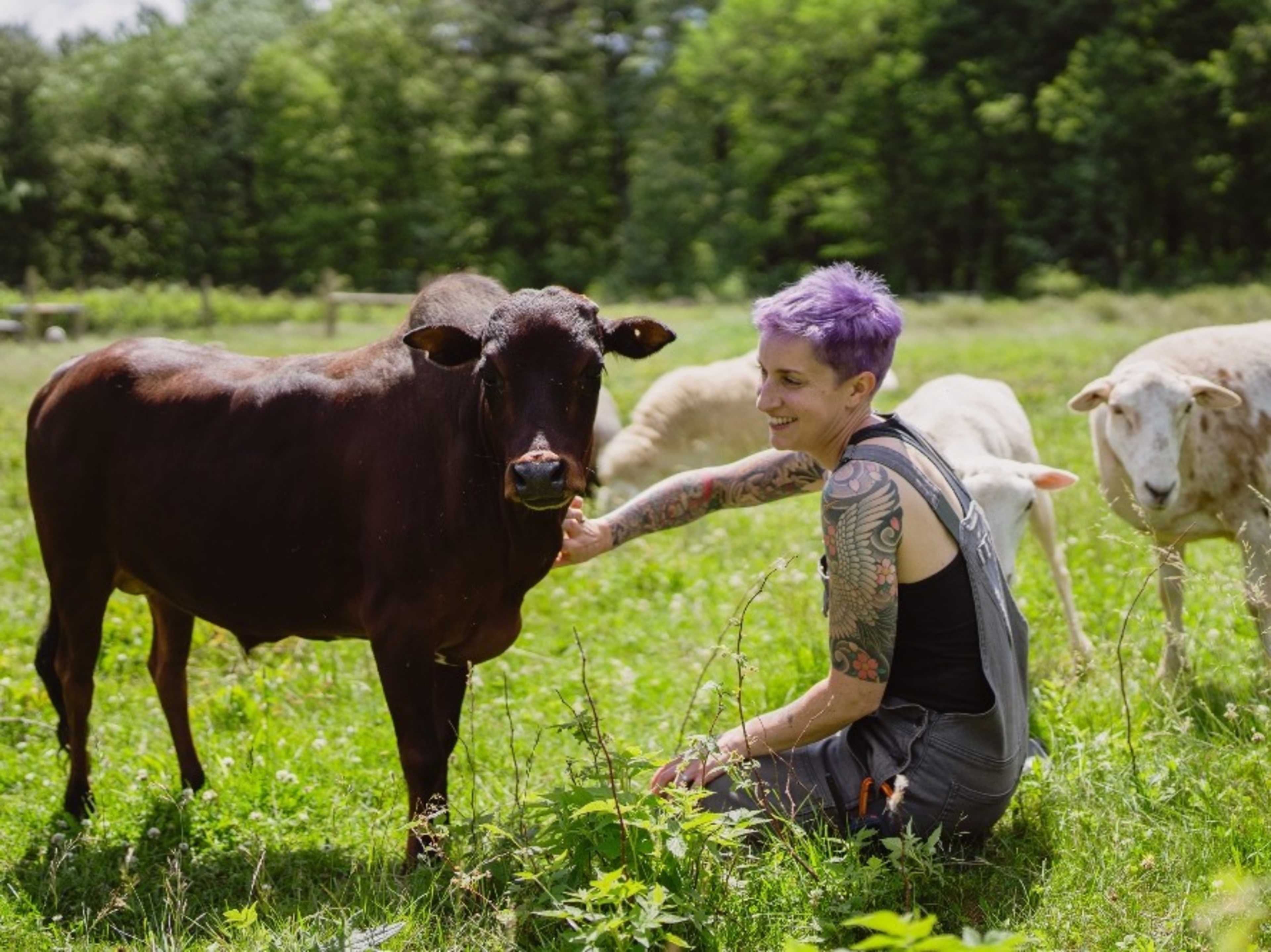 Animal Interaction