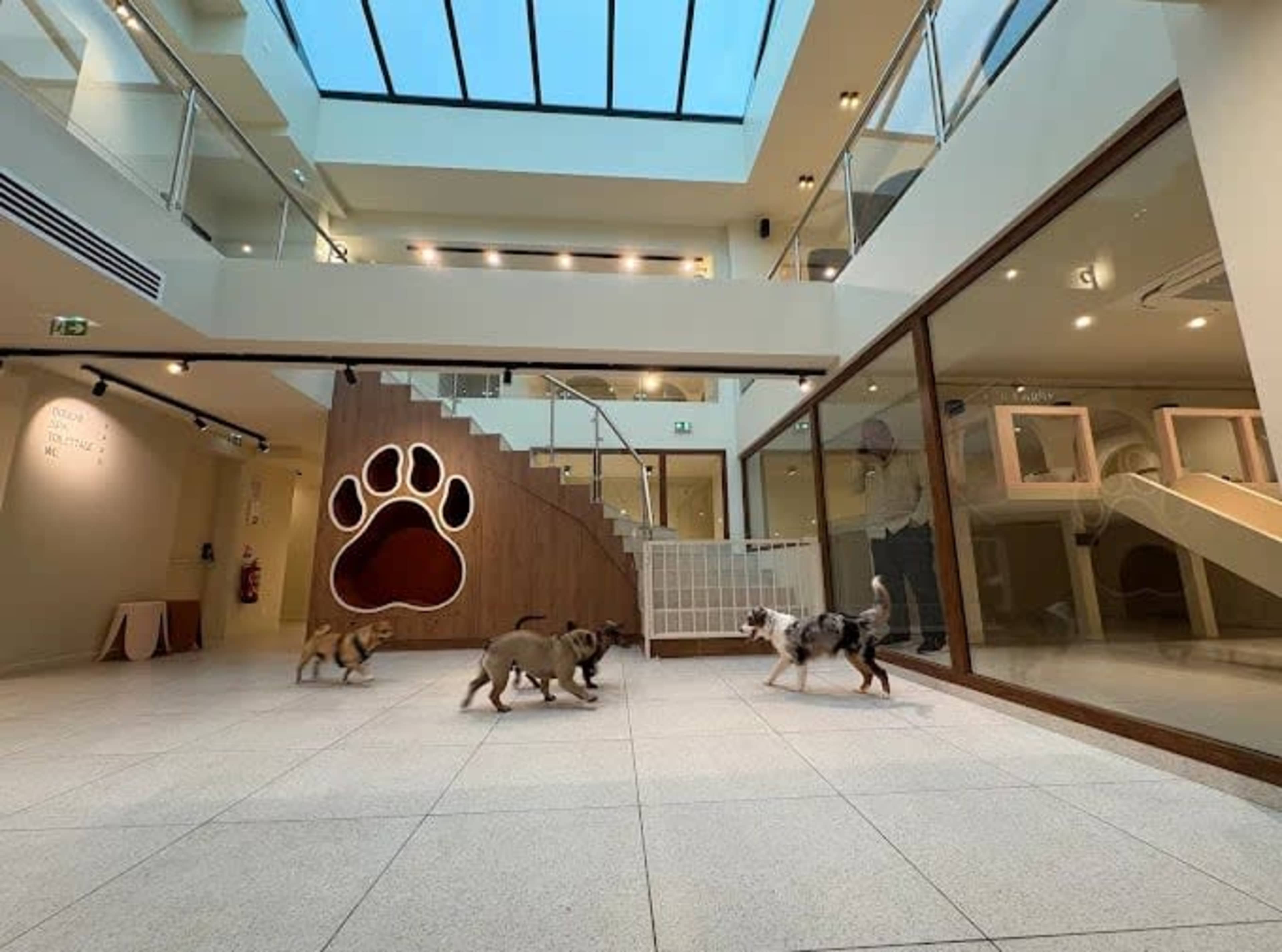 The scene features several dogs walking on a tiled floor in a modern indoor space with large windows and a decorative wooden stairway.