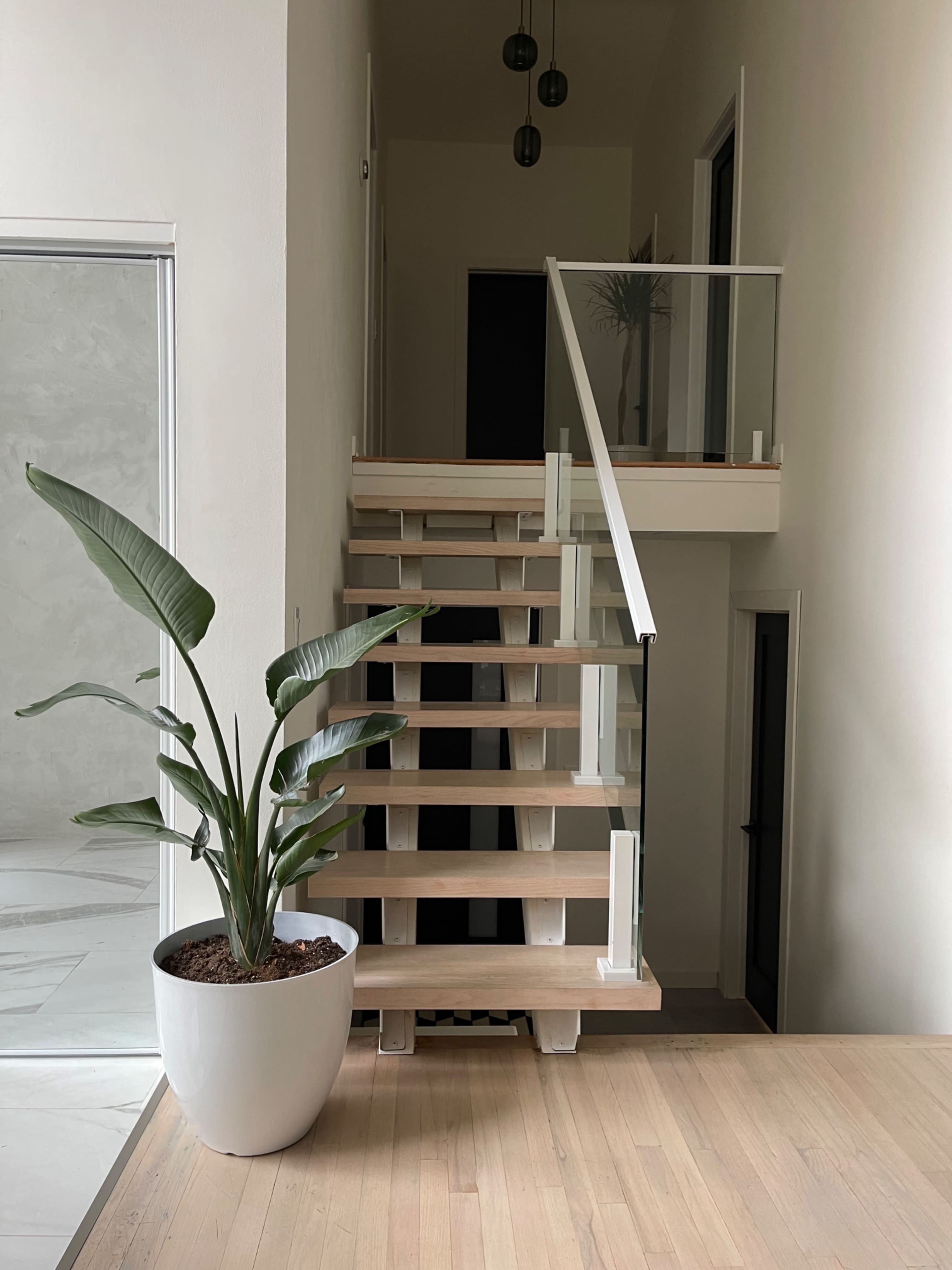 A set of wooden stairs with a glass railing leads to an upper level, accompanied by a large potted plant at the bottom.