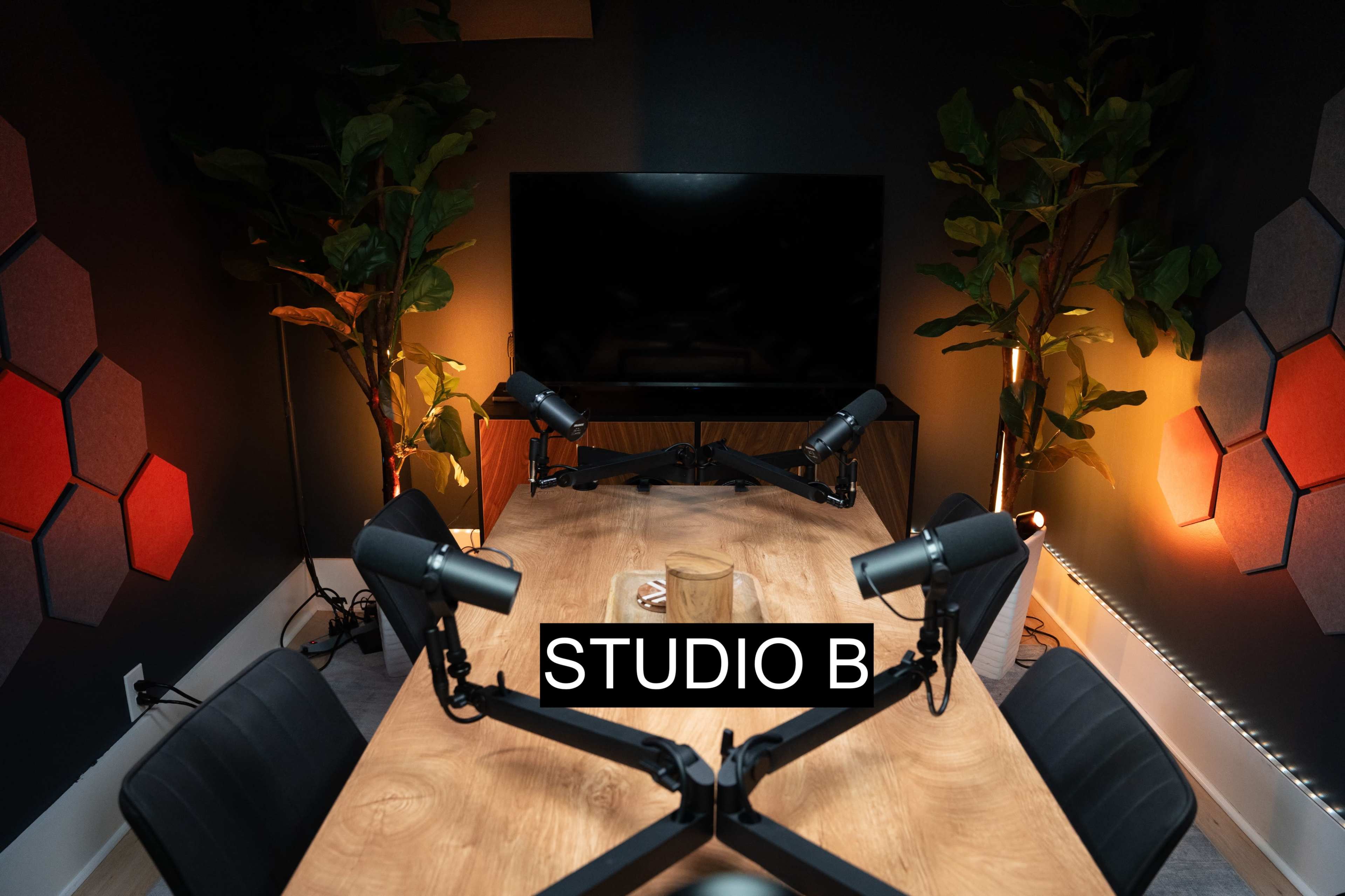 The image shows a well-lit podcasting studio featuring a wooden table surrounded by four black chairs and equipped with microphone stands, plants, and a large television on the wall.