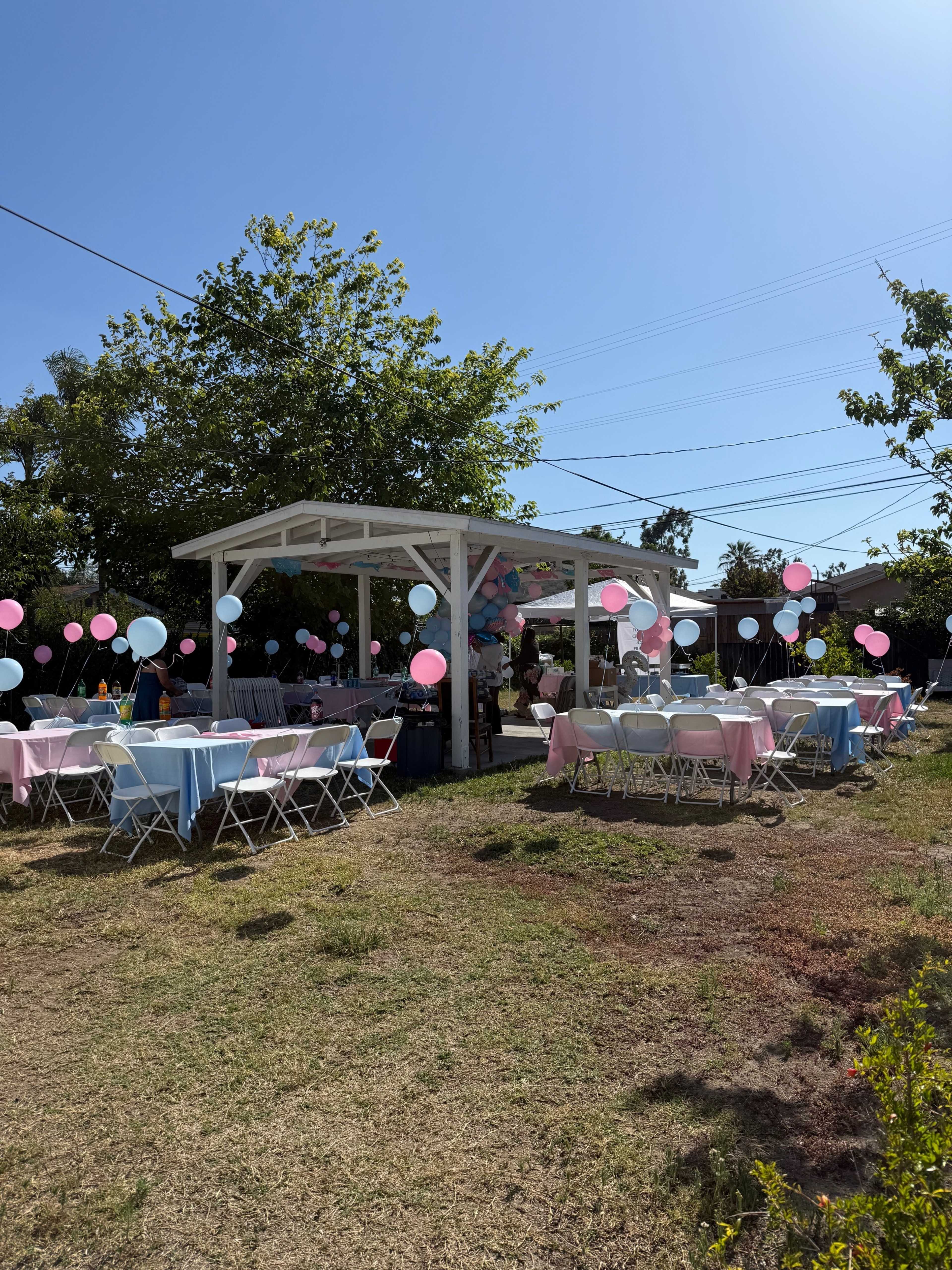 The image shows a party setup with tables covered in pink and blue linens and balloons surrounding a covered outdoor area.