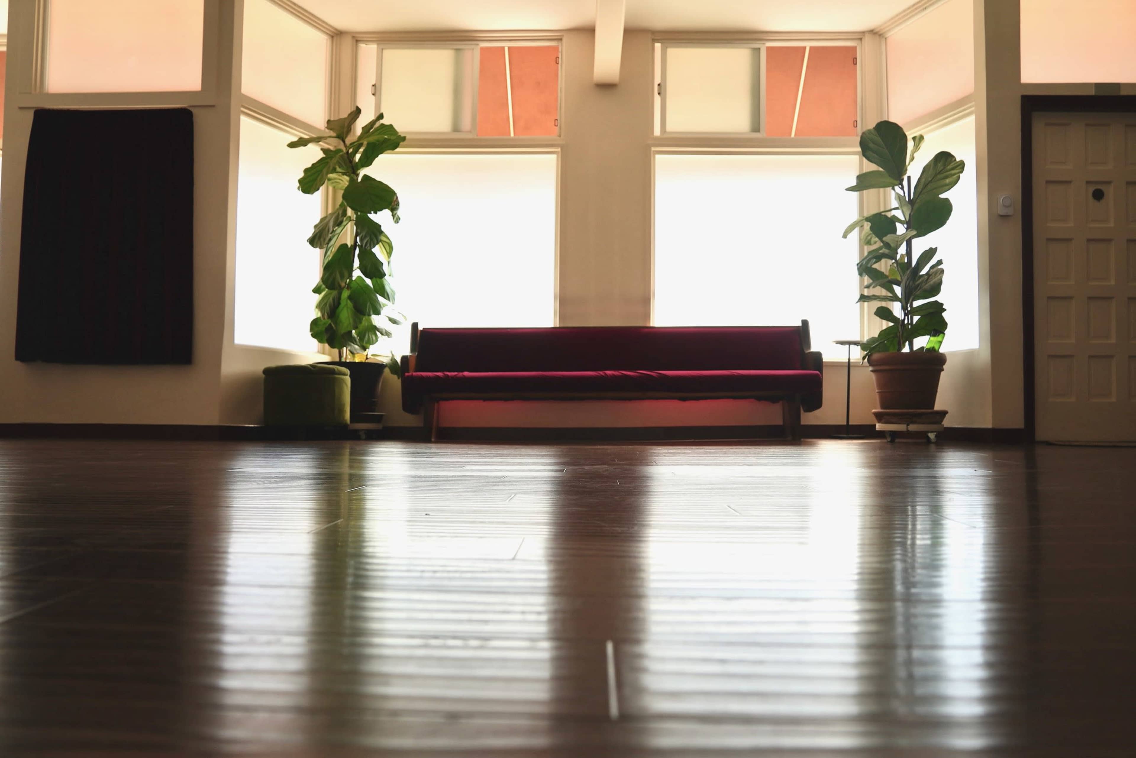 A room with a dark wooden floor, a red sofa against a wall between two large windows, and two potted plants on either side.