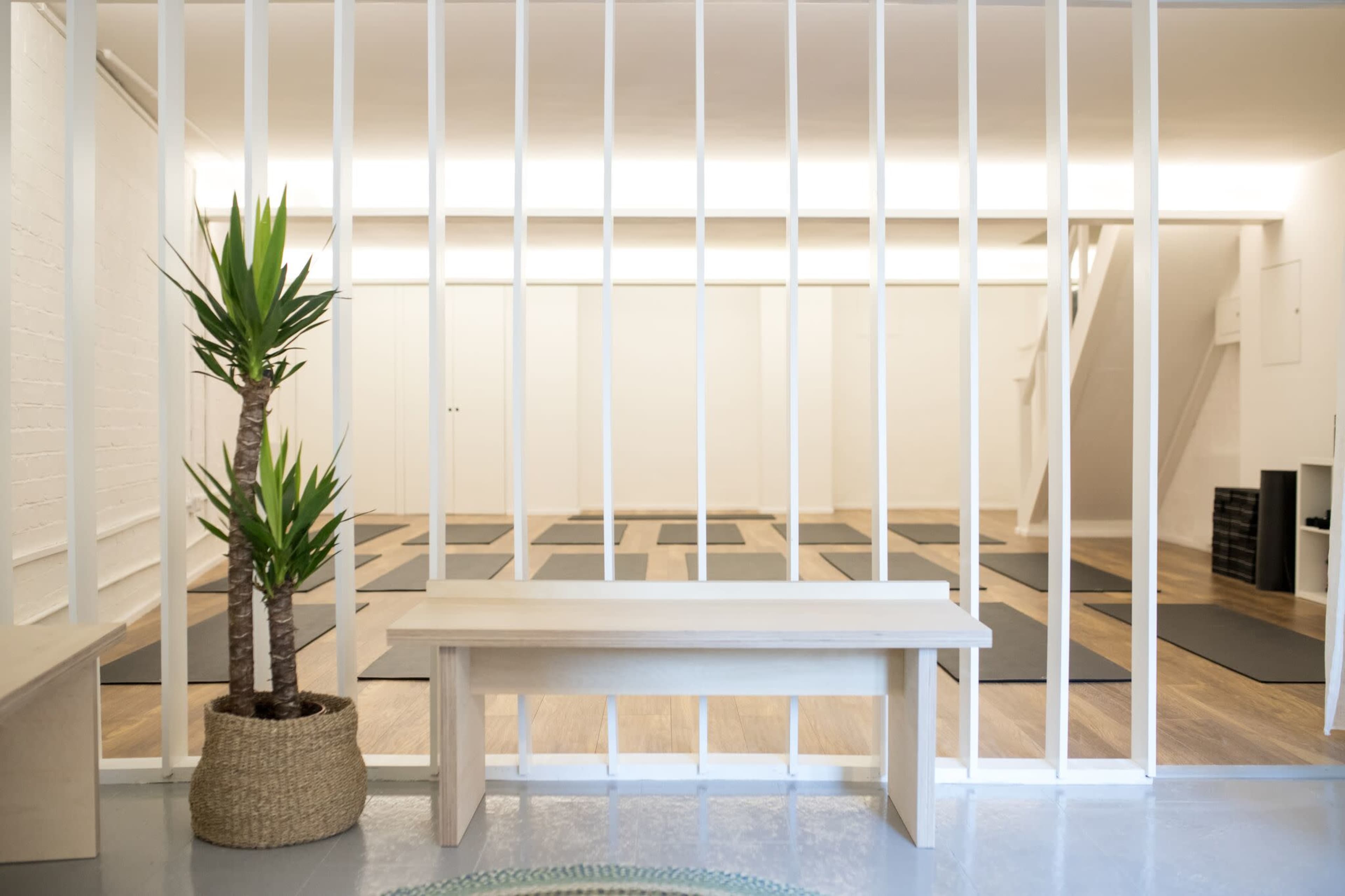 A minimalist yoga studio with several mats arranged on the floor, framed by white wooden slats and featuring a potted plant in the foreground.