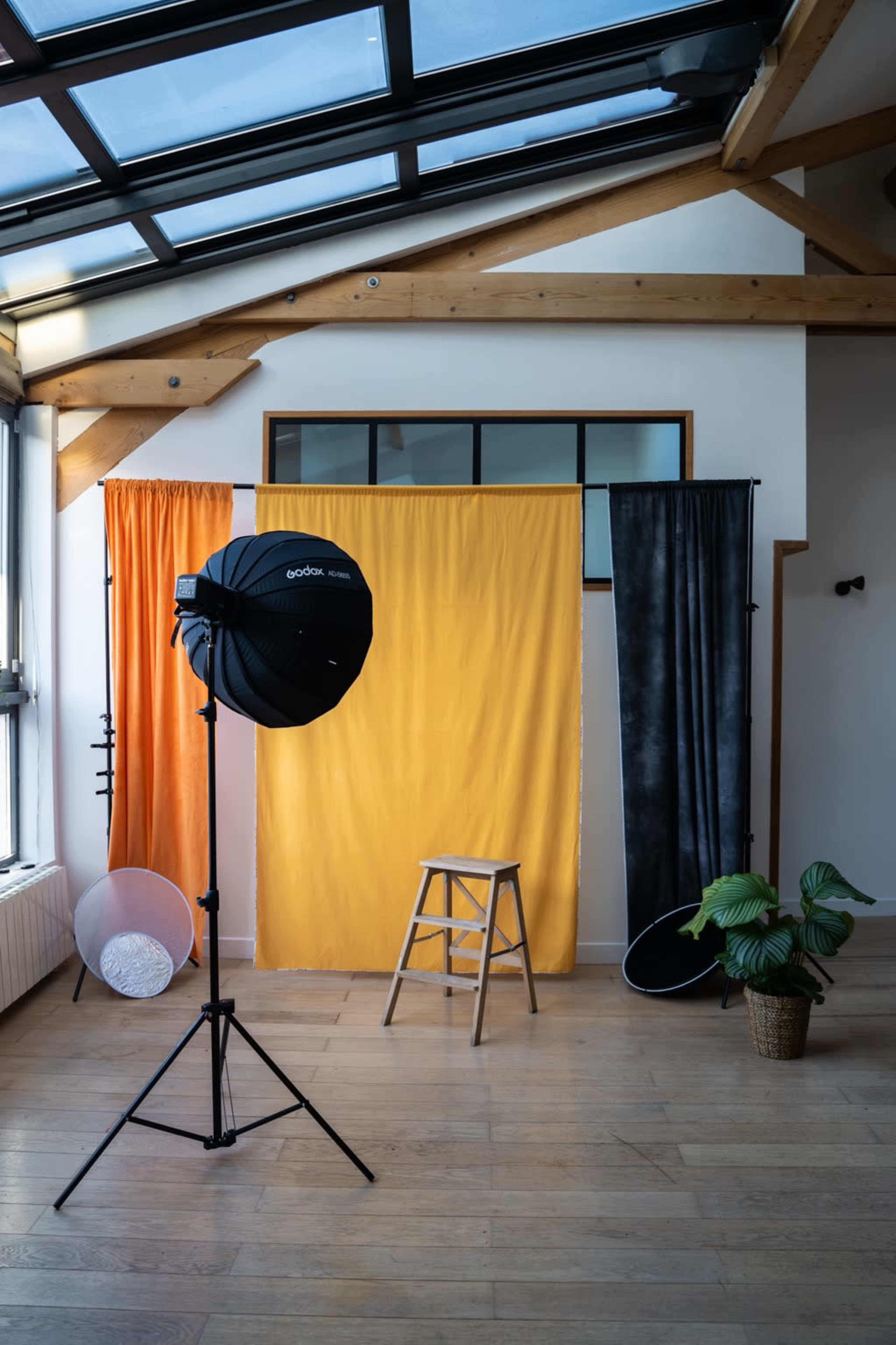 A photography studio features colorful backdrops, lighting equipment, a wooden ladder, and a potted plant.