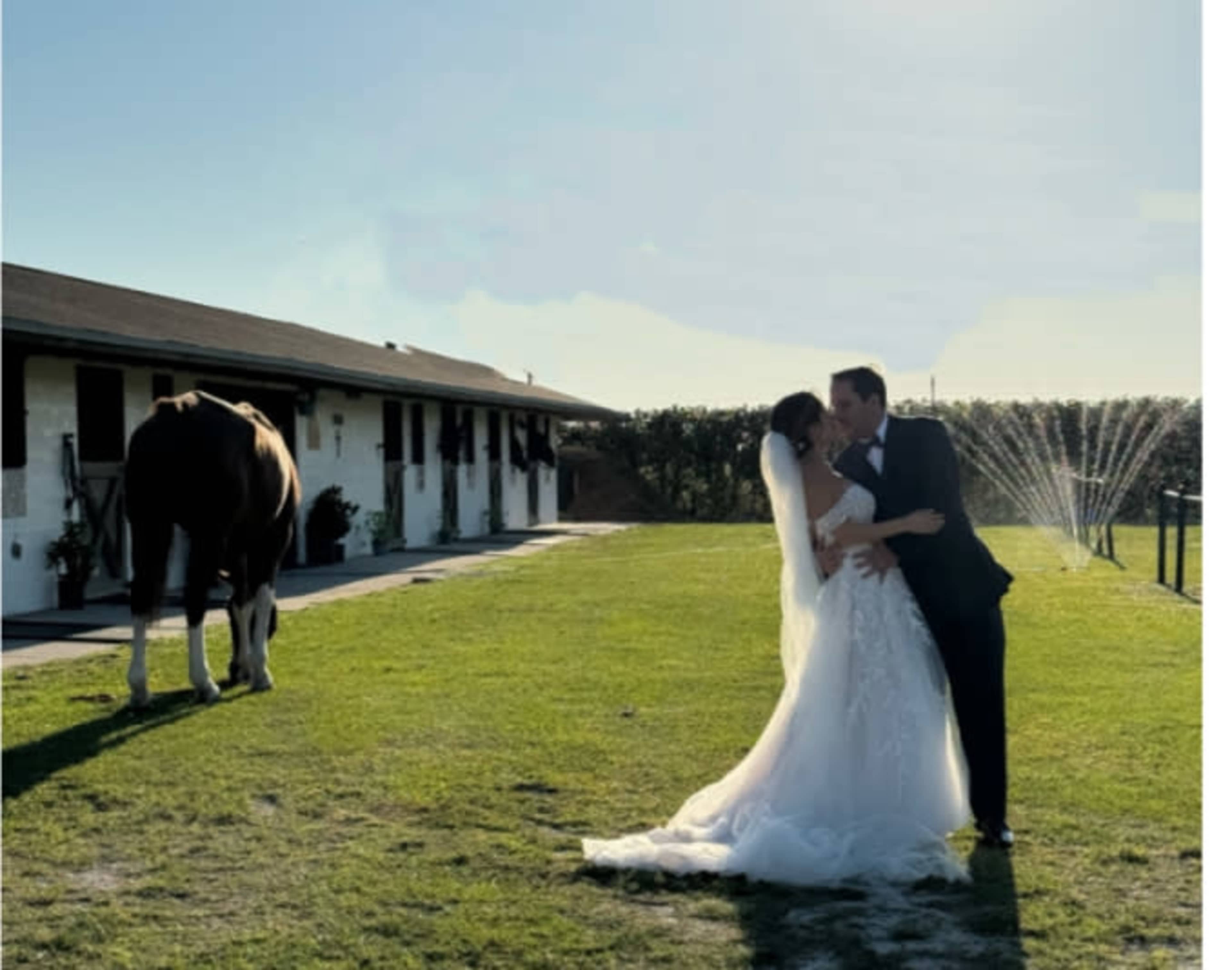 A bride and groom kiss on a grassy area near a stable, with a horse grazing in the background.