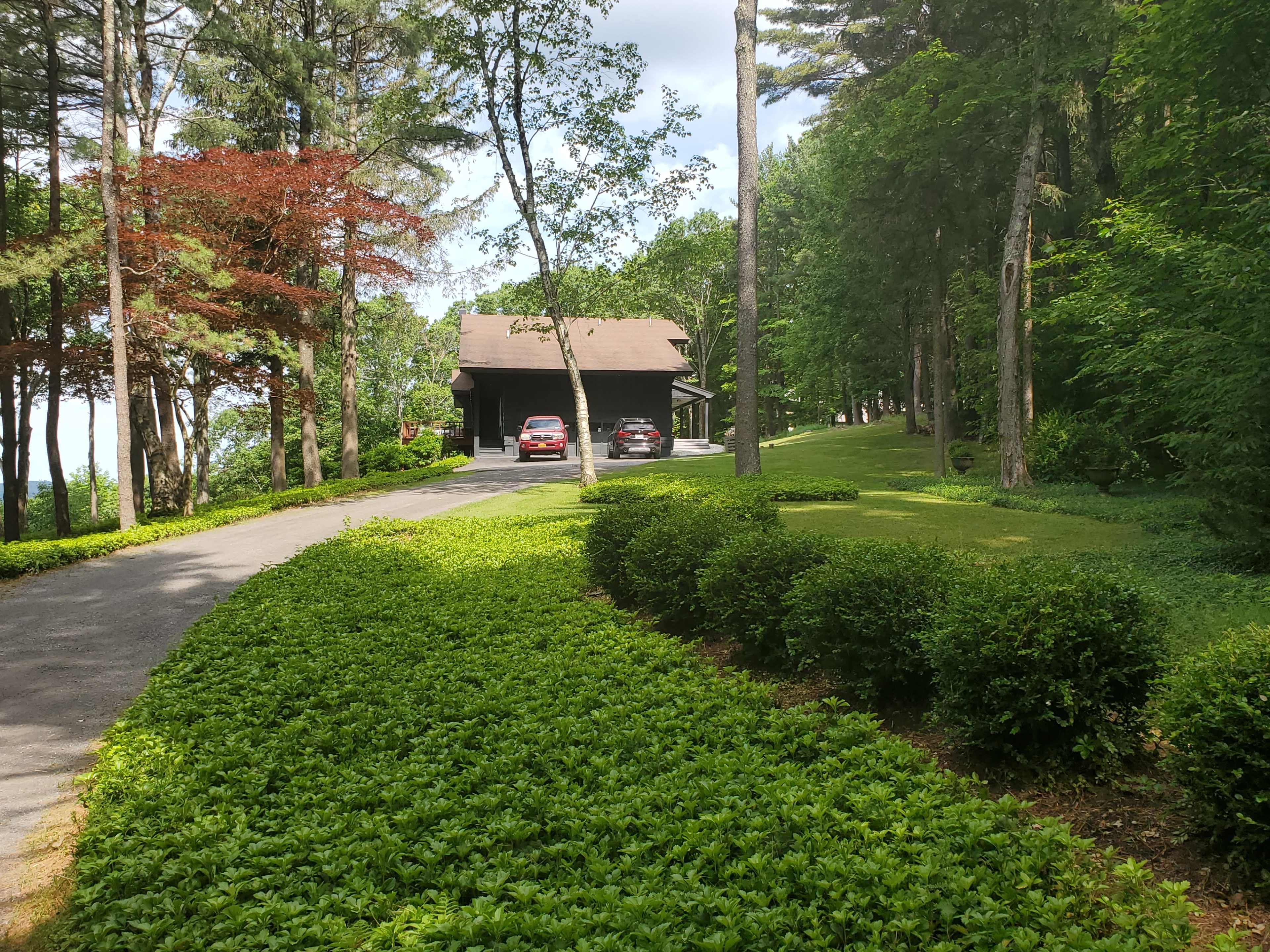 A winding driveway leads to a wooden cabin surrounded by trees and neatly trimmed shrubs.