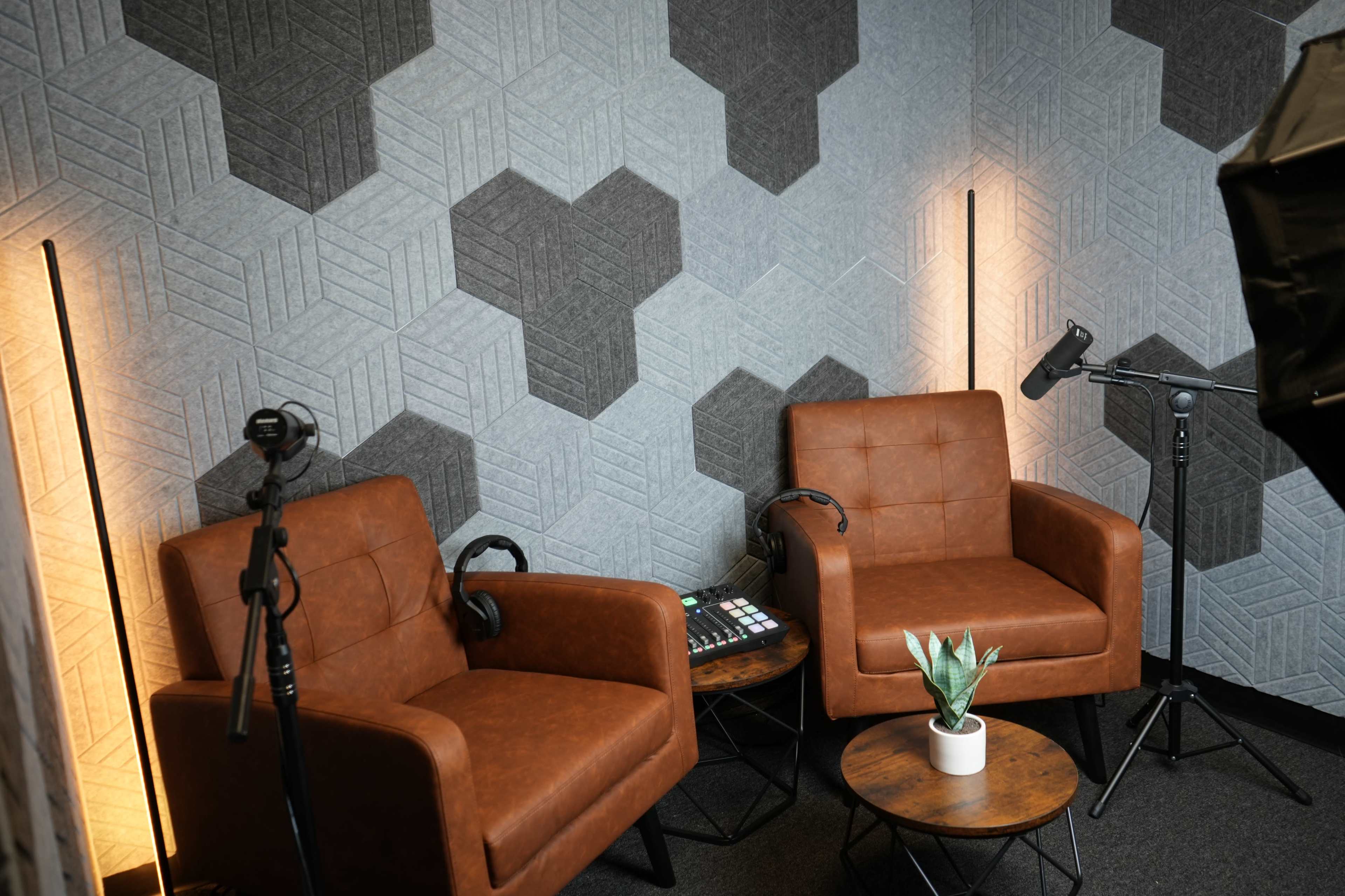 The image shows a corner of a recording studio featuring two brown chairs, a small table, a potted plant, and audio equipment, all against a textured gray wall.