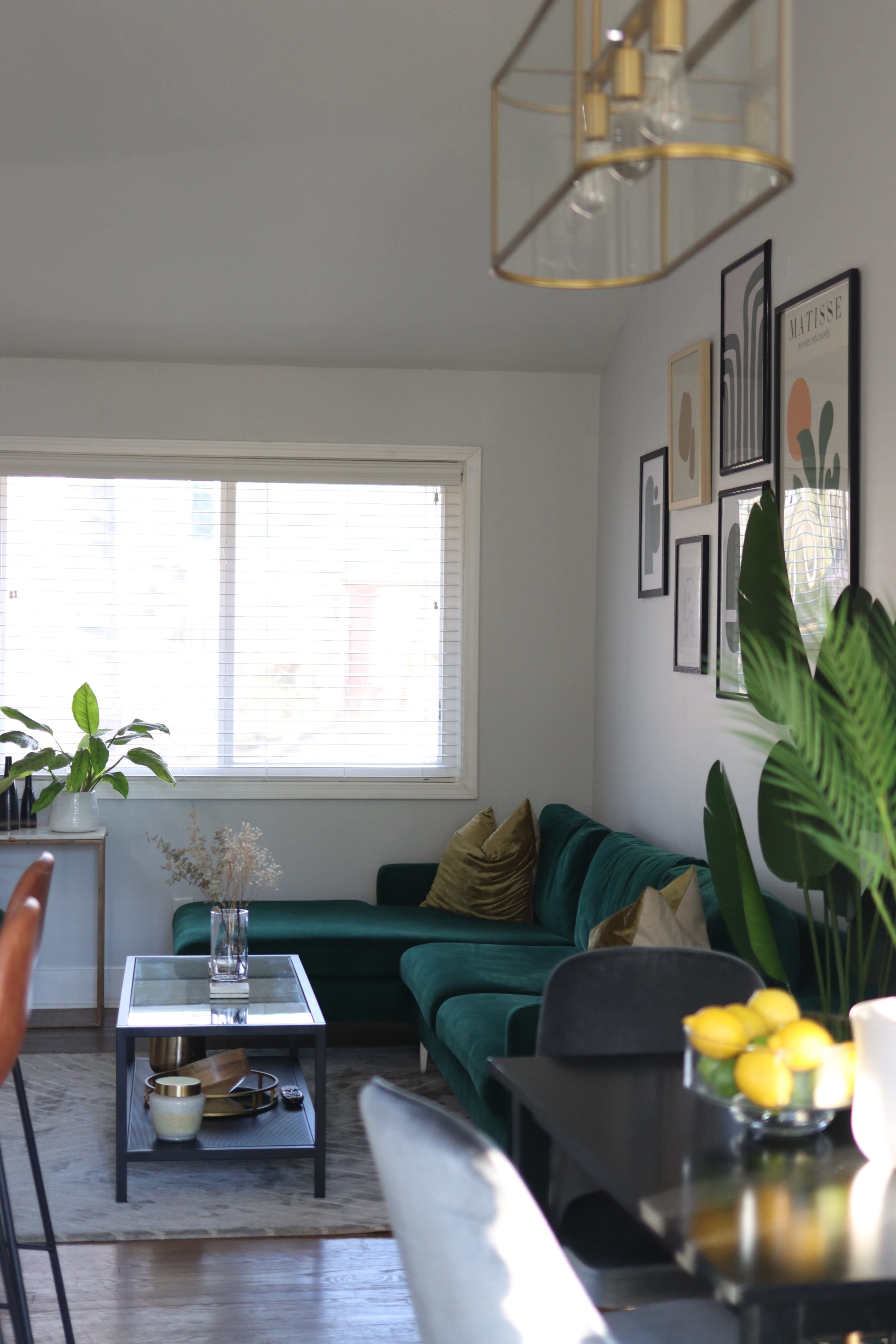 The image shows a bright living room featuring a green sofa, a coffee table with decorative items, and plants by the window.