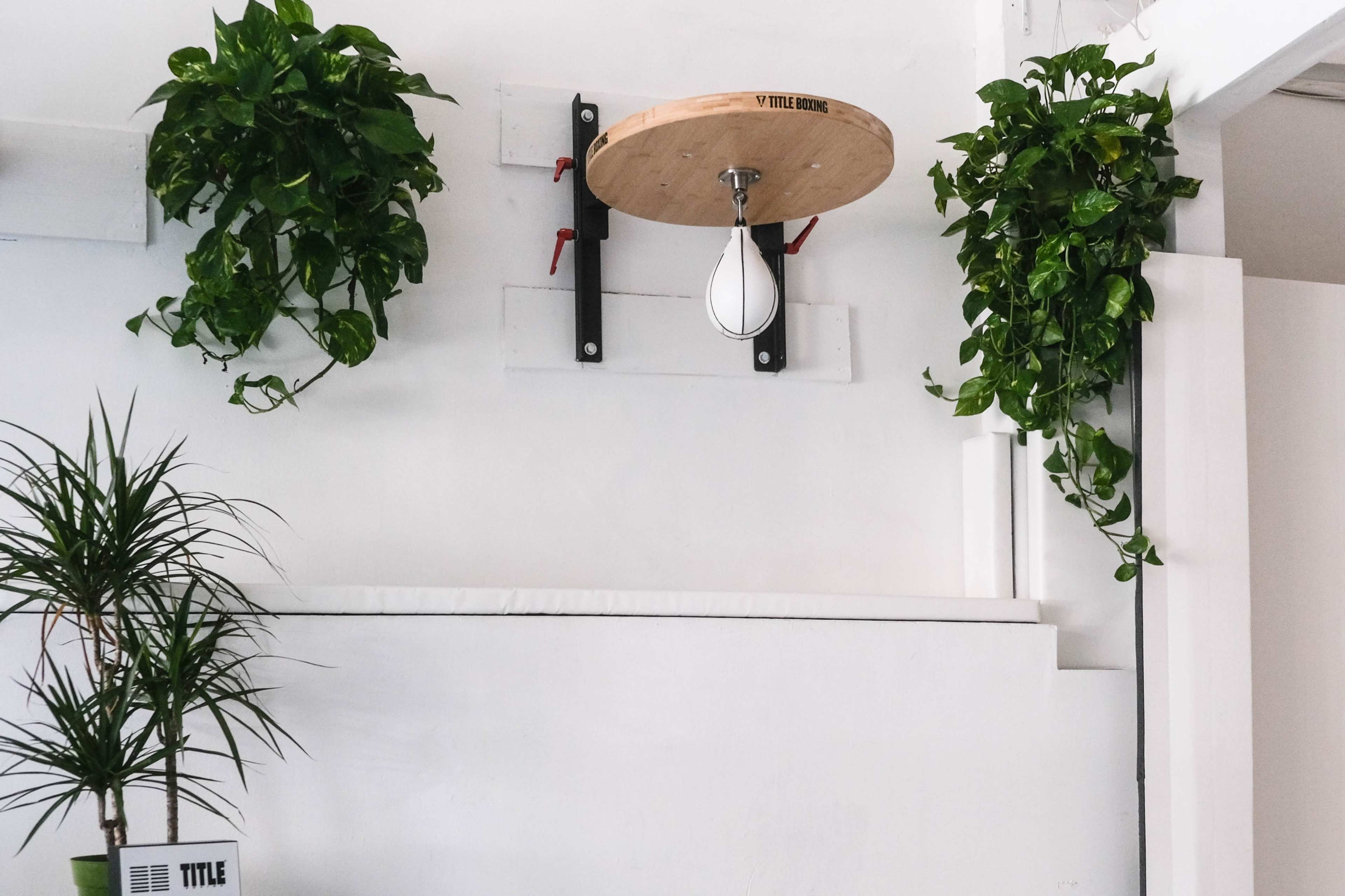A wall-mounted wooden punching bag surrounded by two green hanging plants on either side.