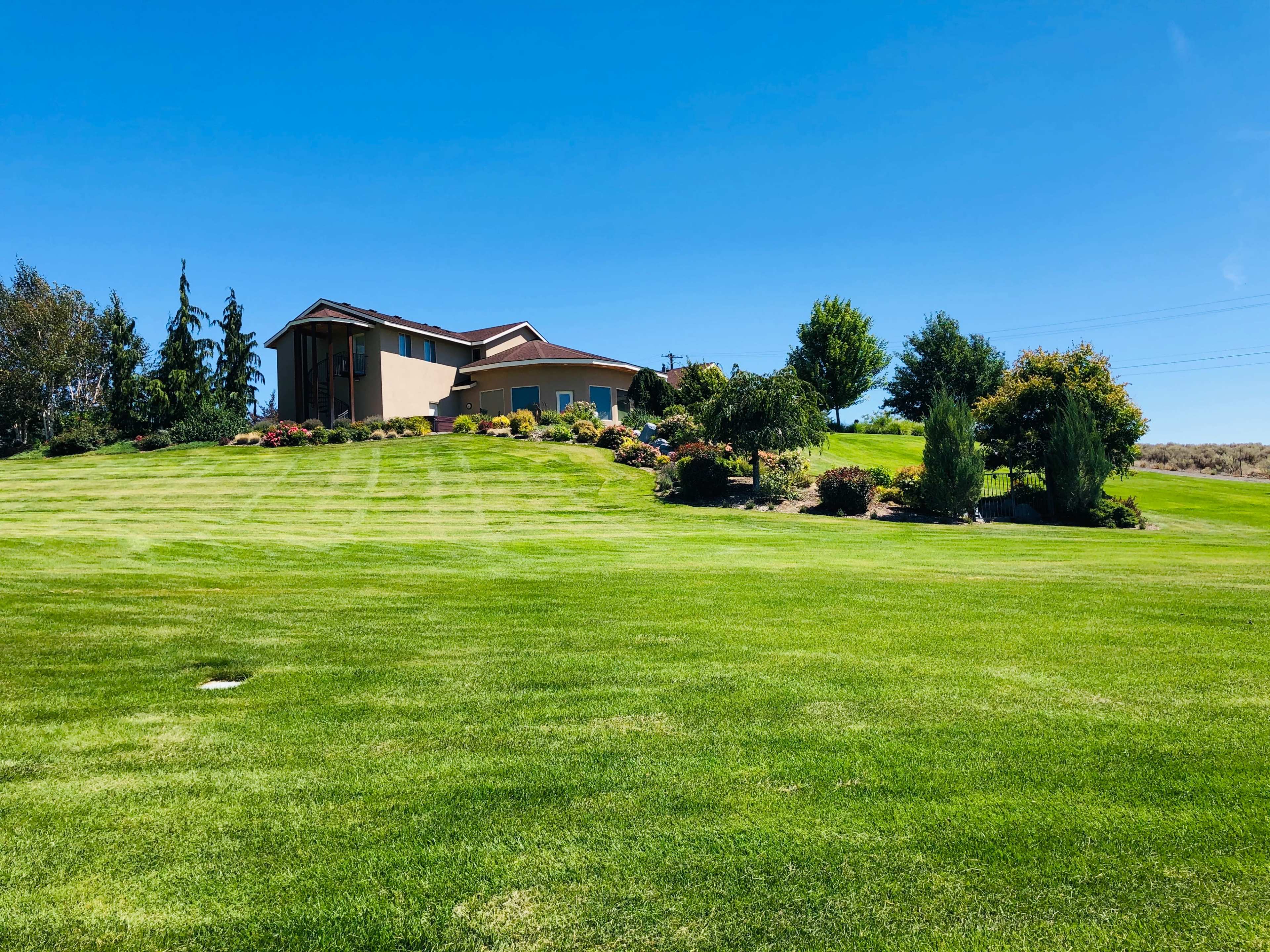 A well-manicured lawn leads up to a modern house surrounded by landscaped gardens.