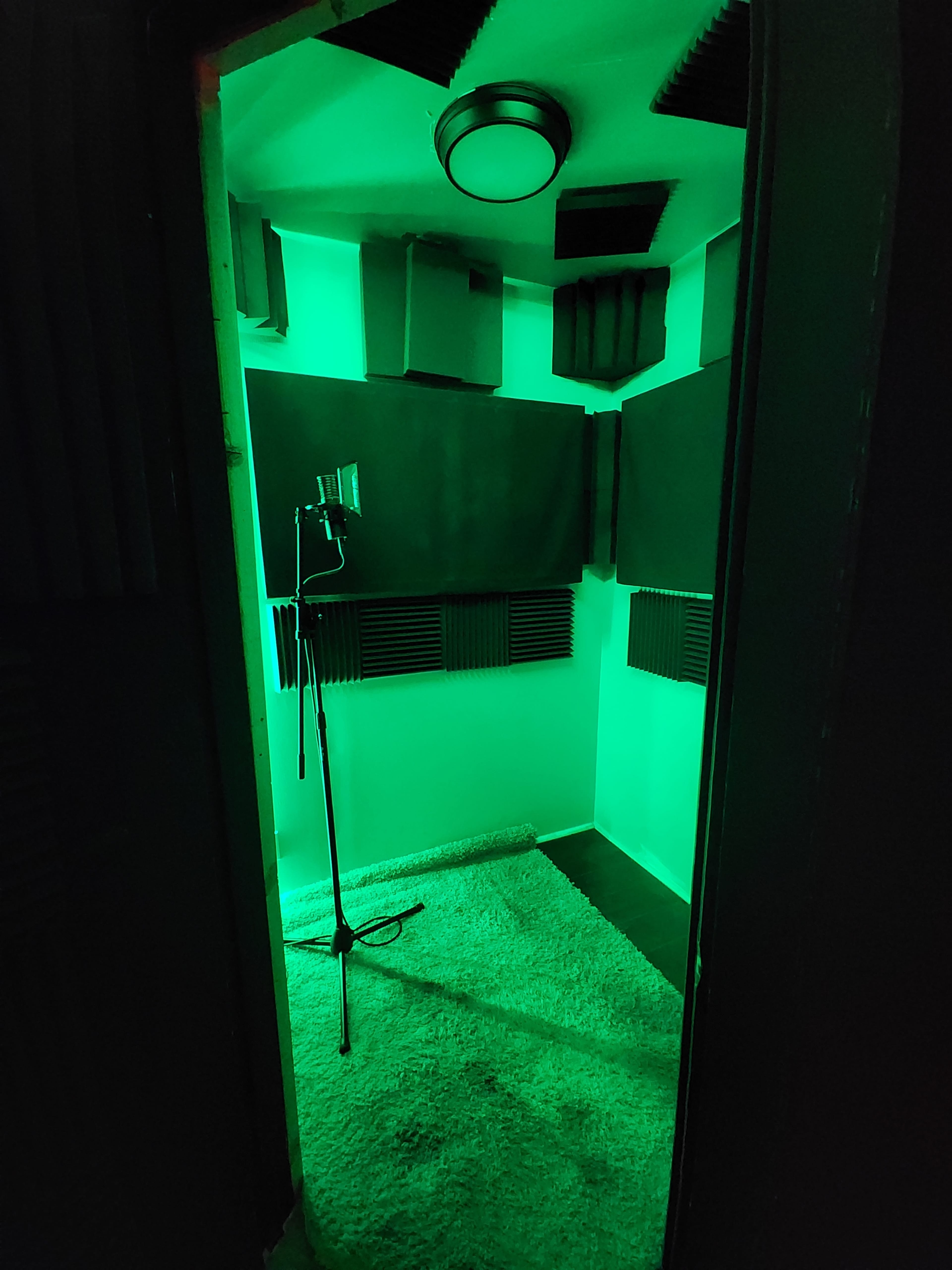 The image shows a soundproof room with green lighting, featuring acoustic panels on the walls and a microphone stand in the center.