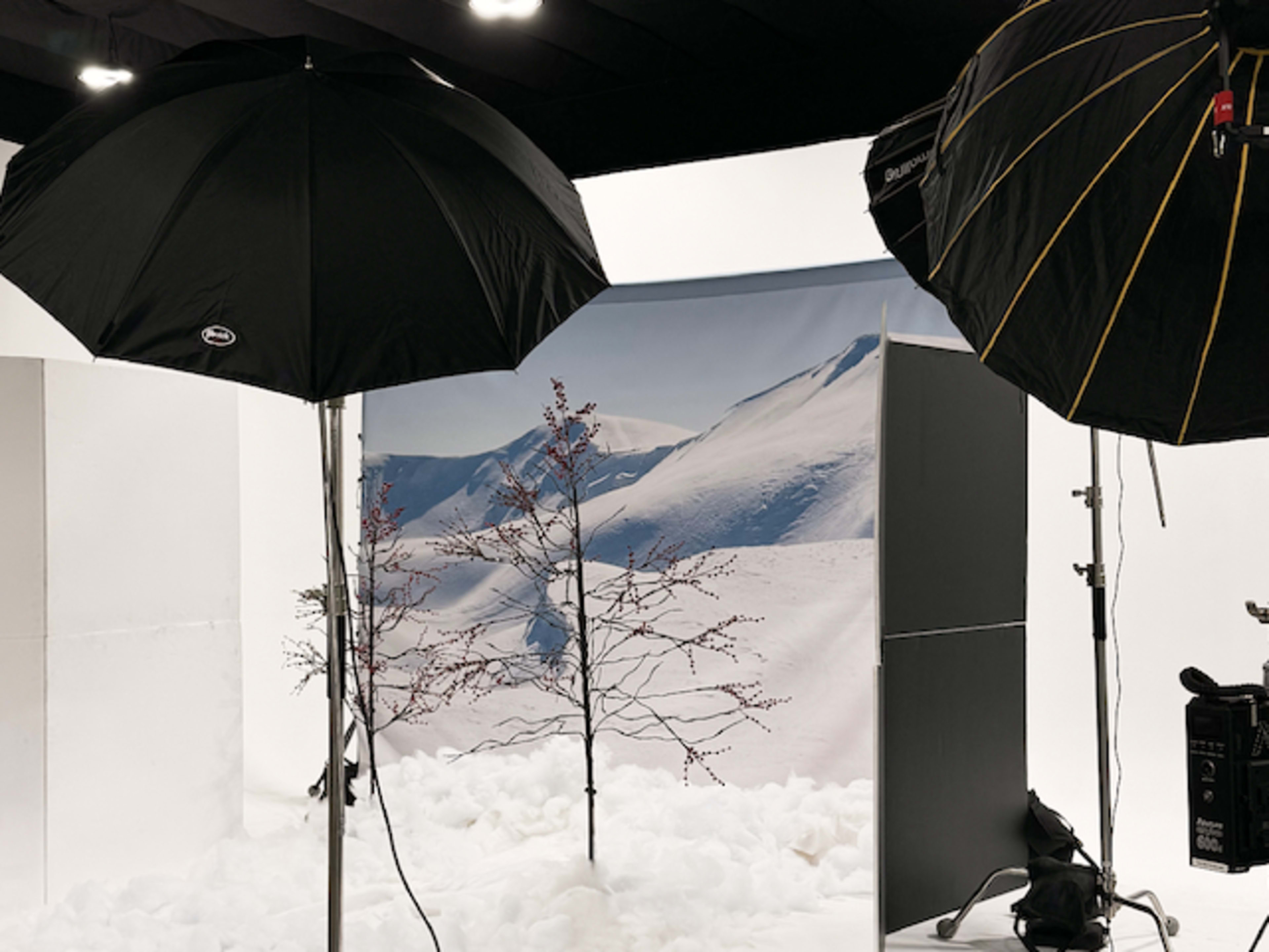 Winter Mountains Backdrop