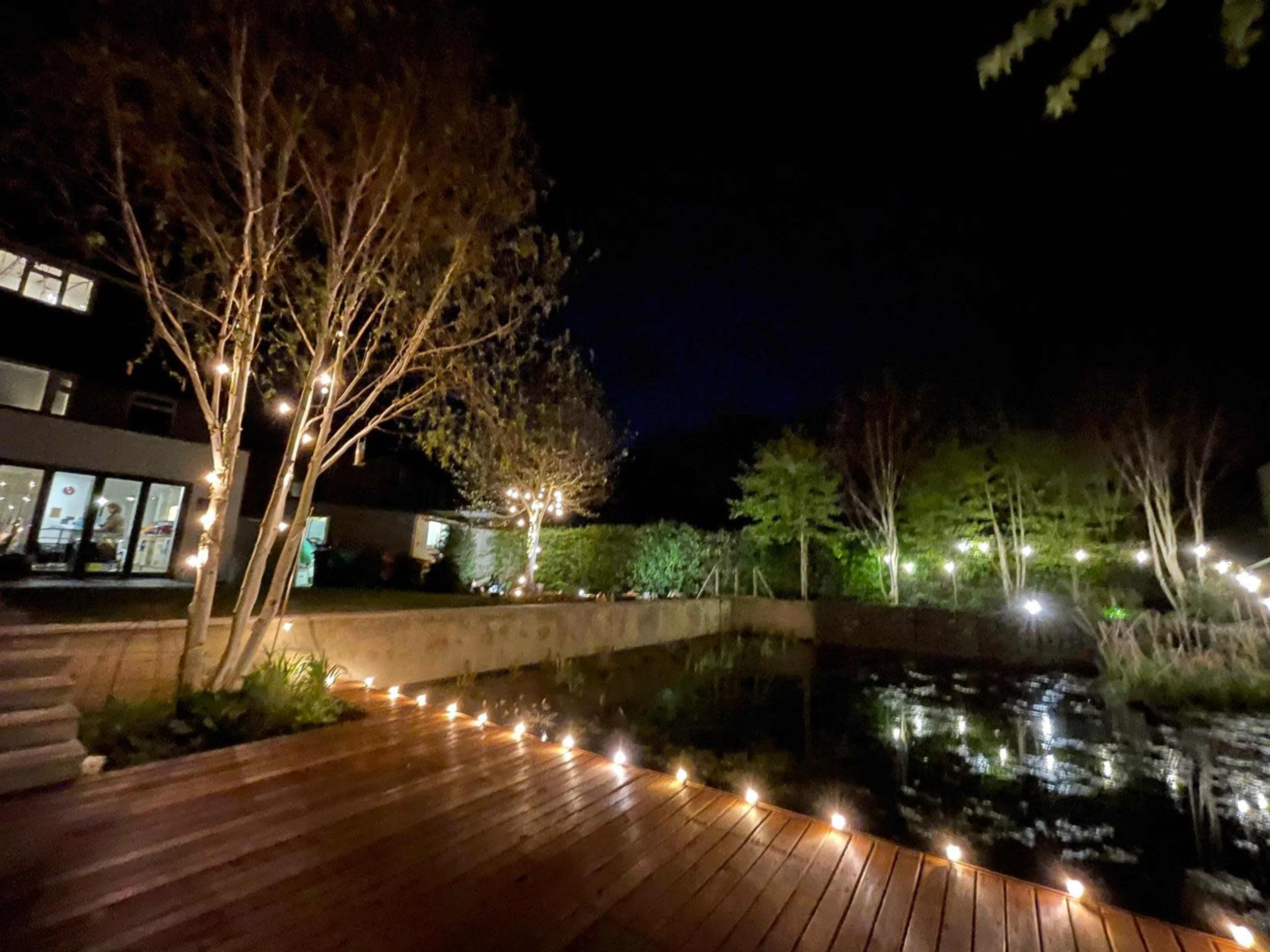 A wooden deck at night, with string lights illuminating a pond surrounded by trees and shrubs.