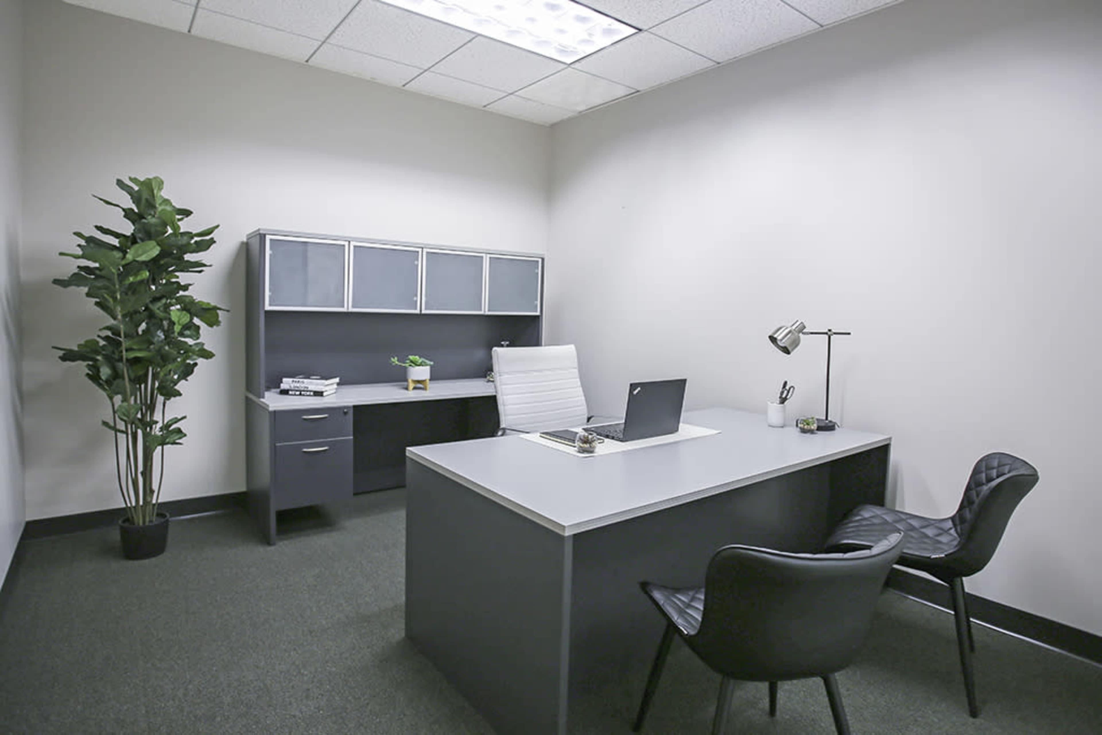 A minimalistic office space featuring a large desk, a chair, a filing cabinet, and a potted plant.