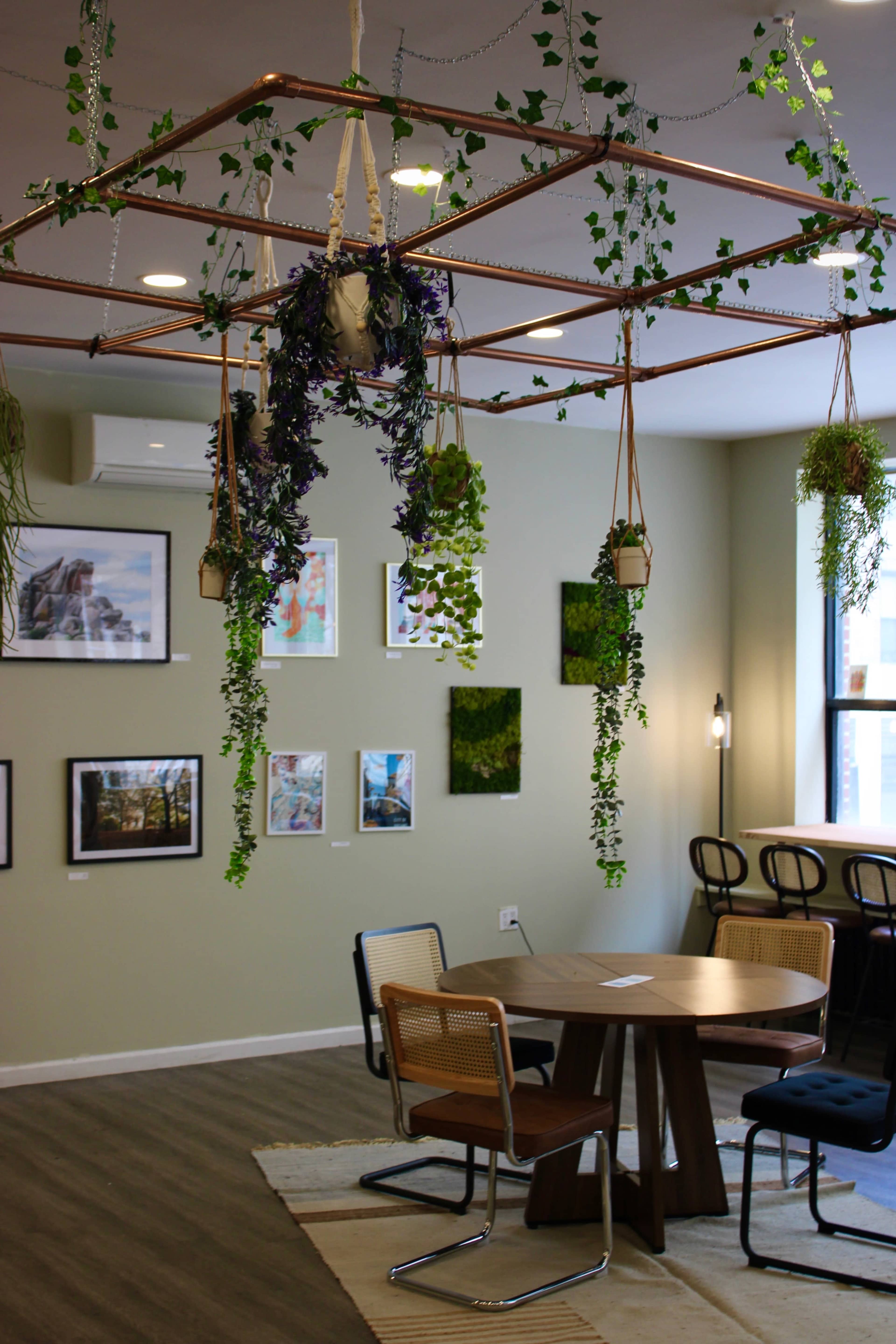 A modern room with a wooden table and chairs, adorned with hanging plants and framed artwork on the walls.