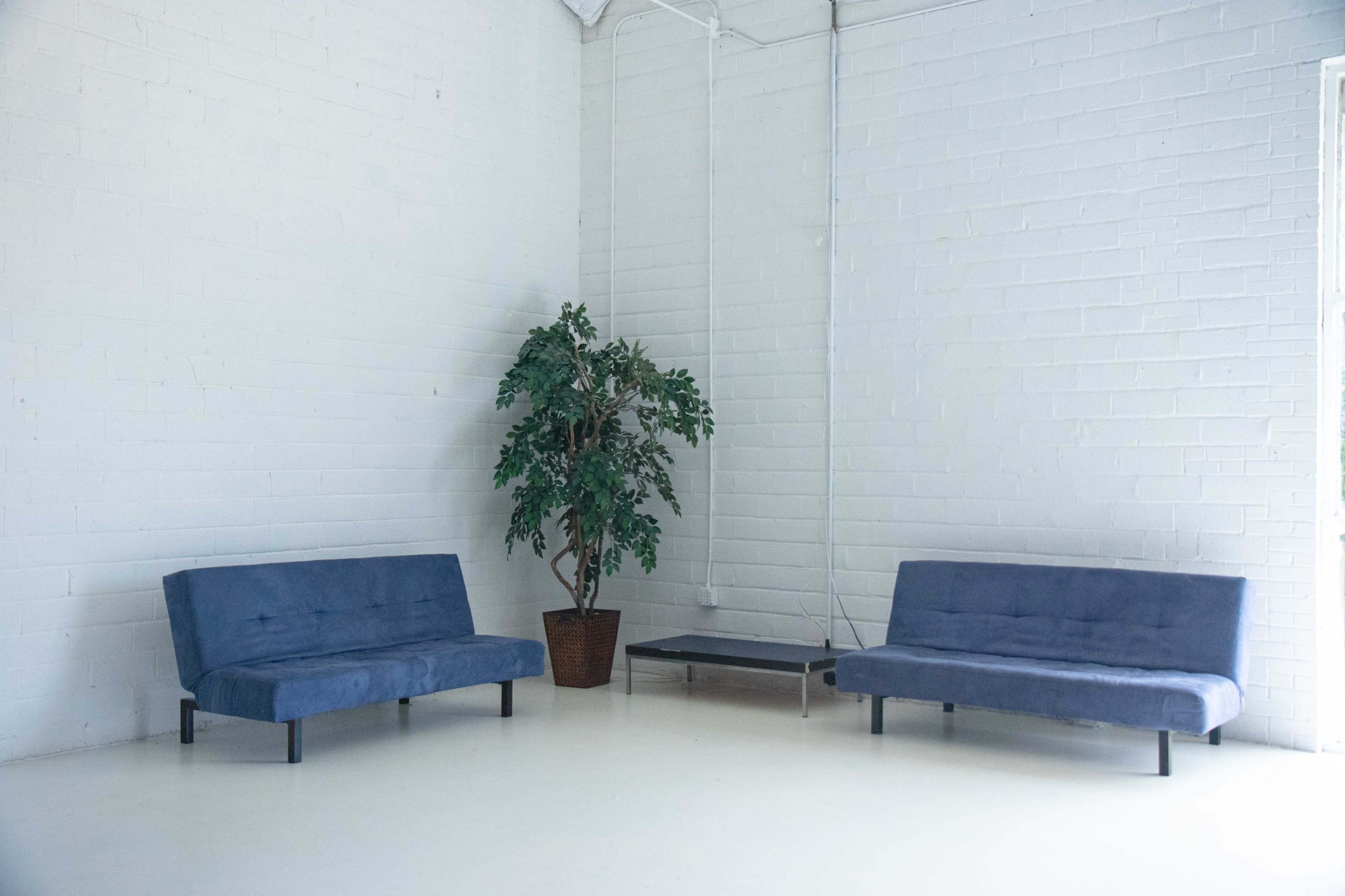 Two blue sofas facing each other in a minimalistic room with a potted plant and a small black table against a white brick wall.