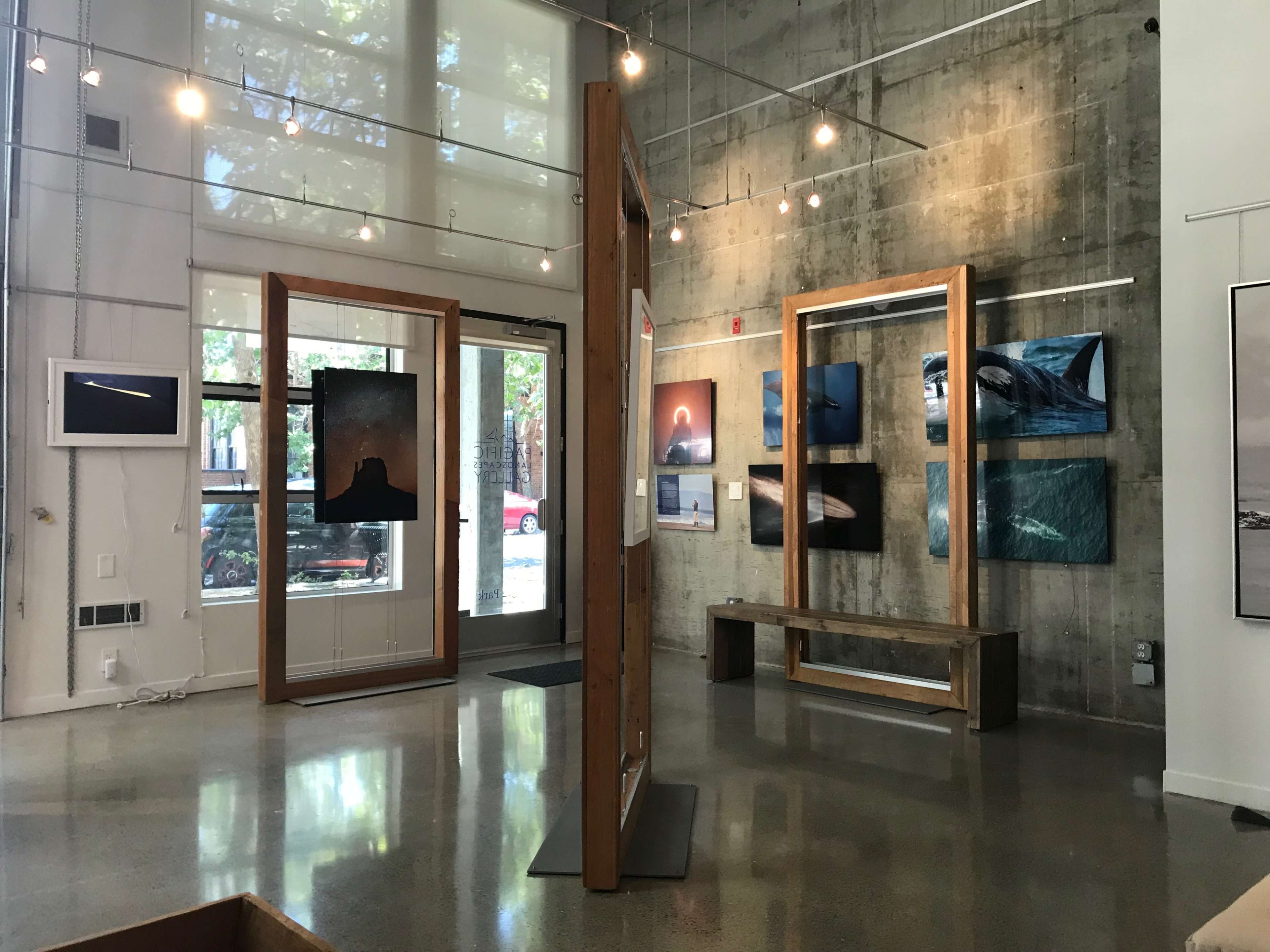 An art gallery with framed photographs displayed on a concrete wall, illuminated by pendant lights.