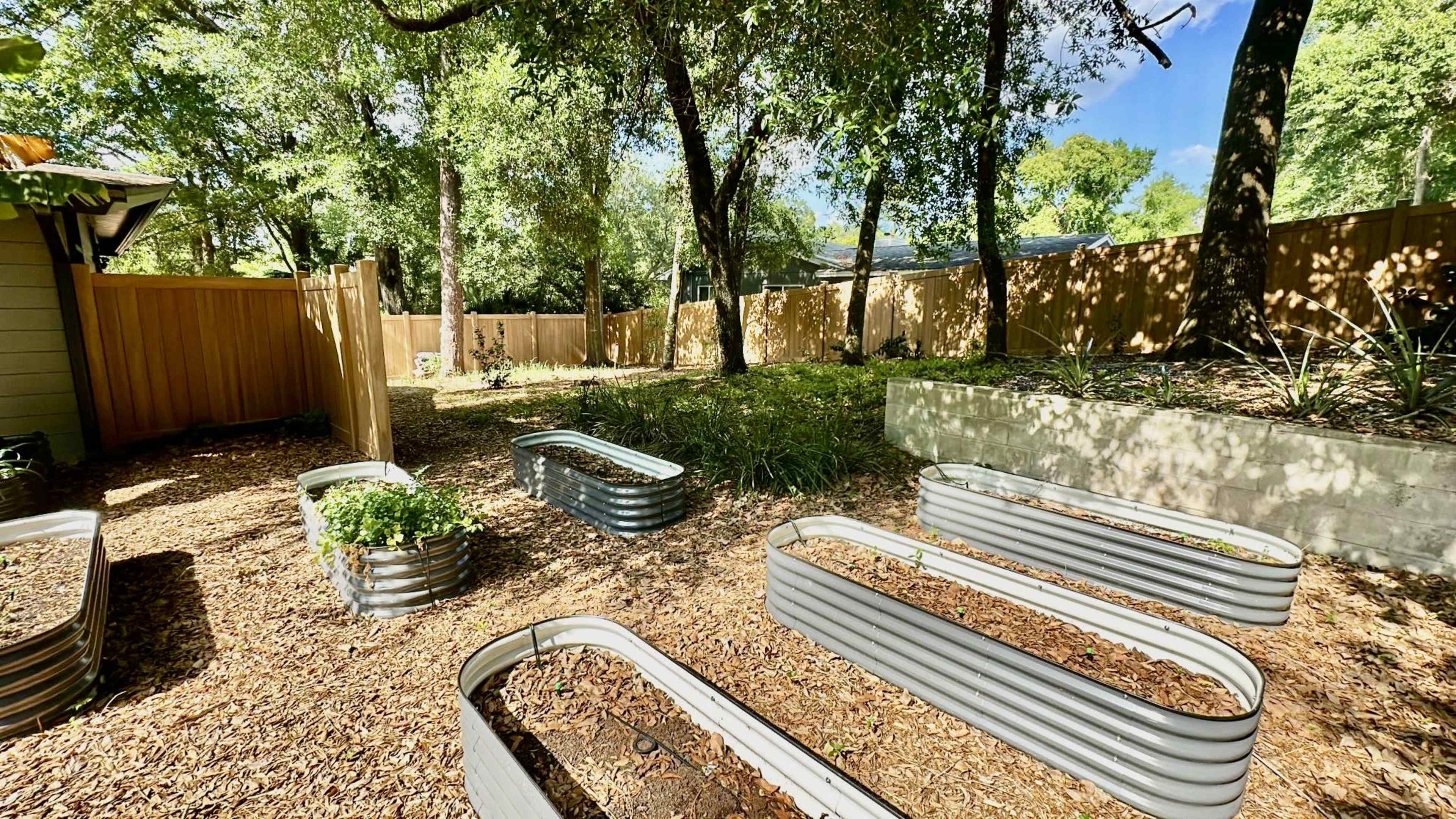 A garden area with several metal raised beds filled with soil and surrounded by wood chips, under trees and a clear sky.