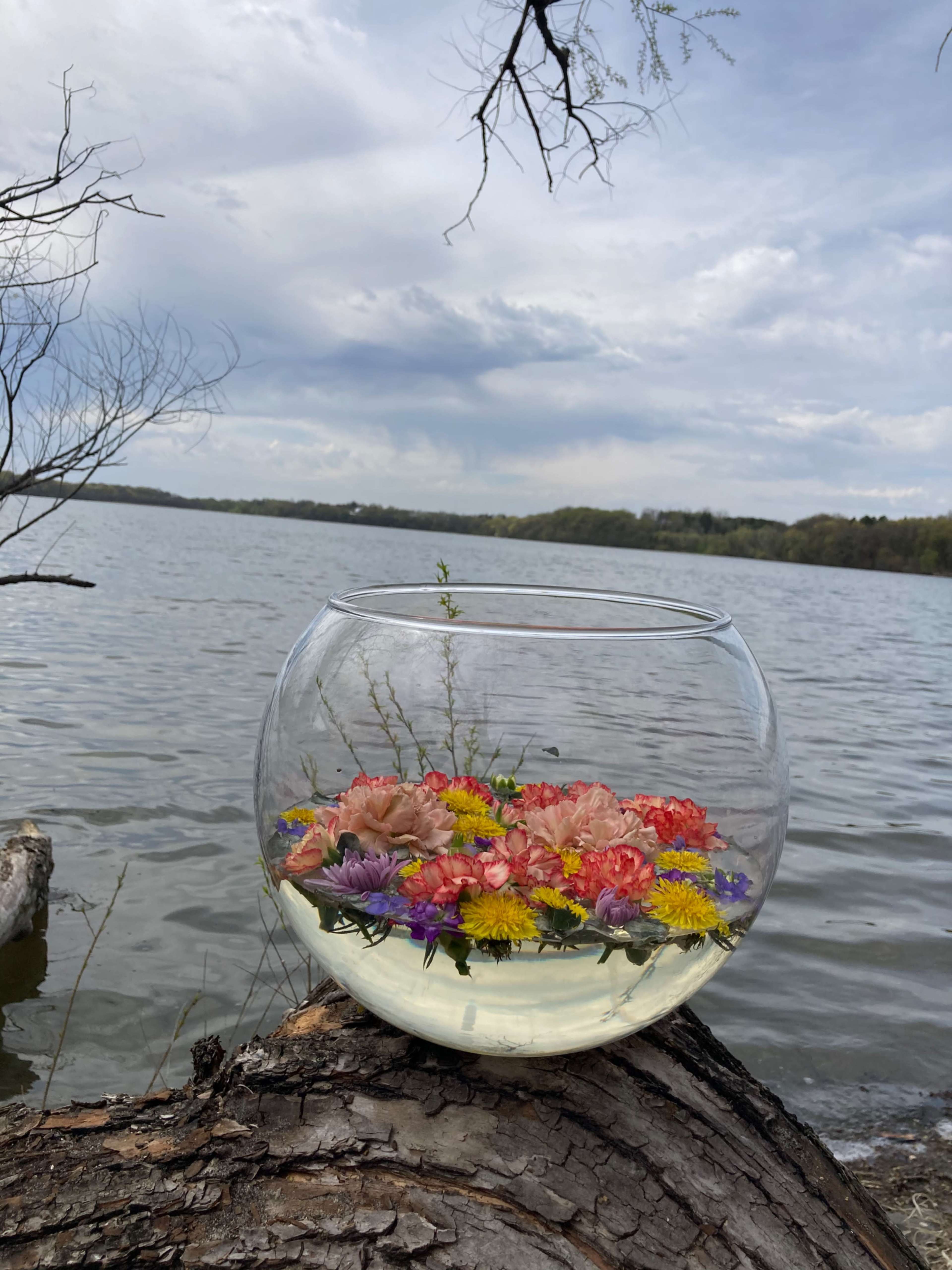 MN’s 1st Private Mental Health Park-Forested with Lakeshore on a private lake-40 mins west of the Twin Cities Image in , Watertown, MN