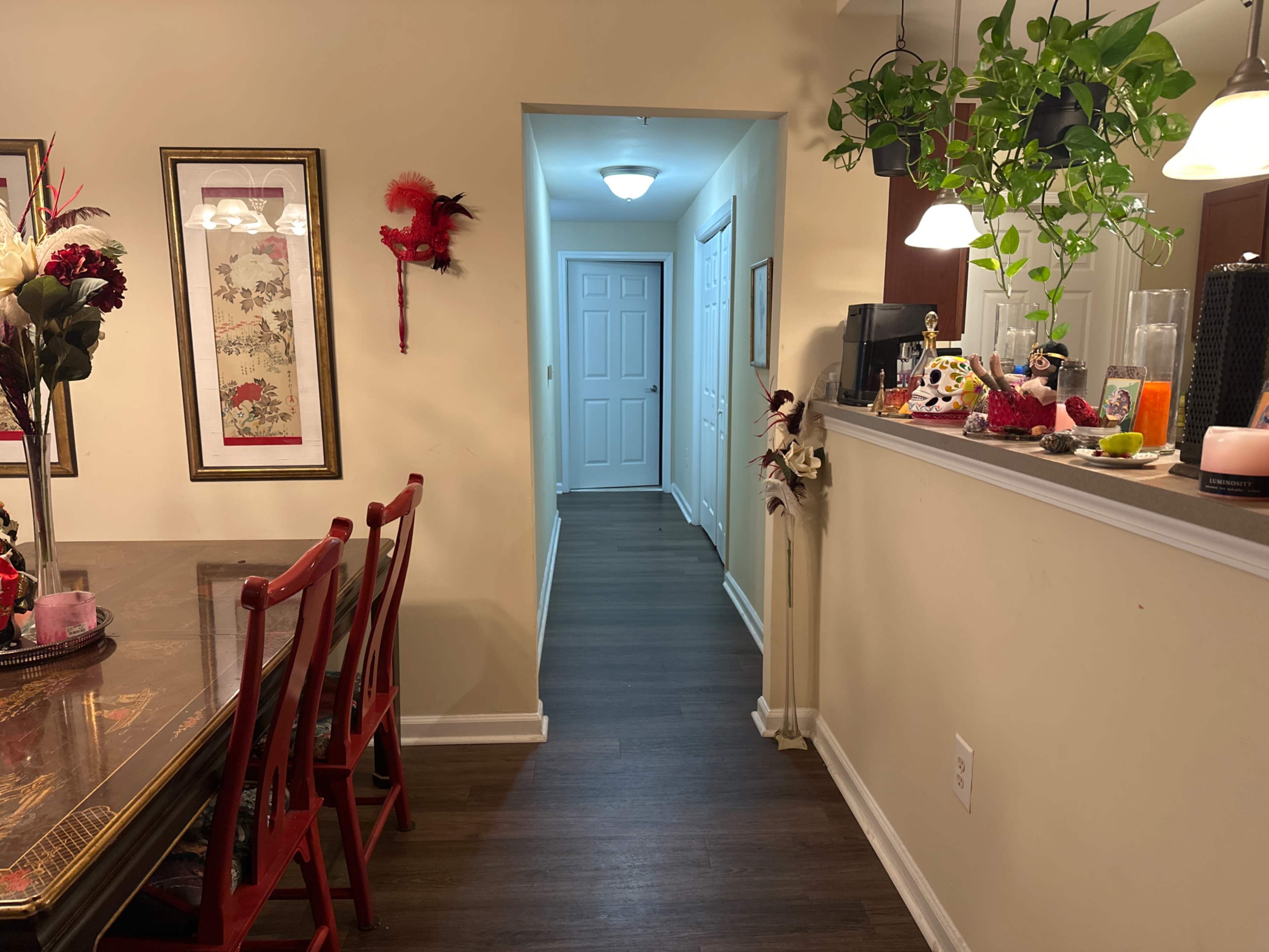 A dining area with a table and red chairs leads to a hallway illuminated by a ceiling light, with a green plant hanging near the entrance.