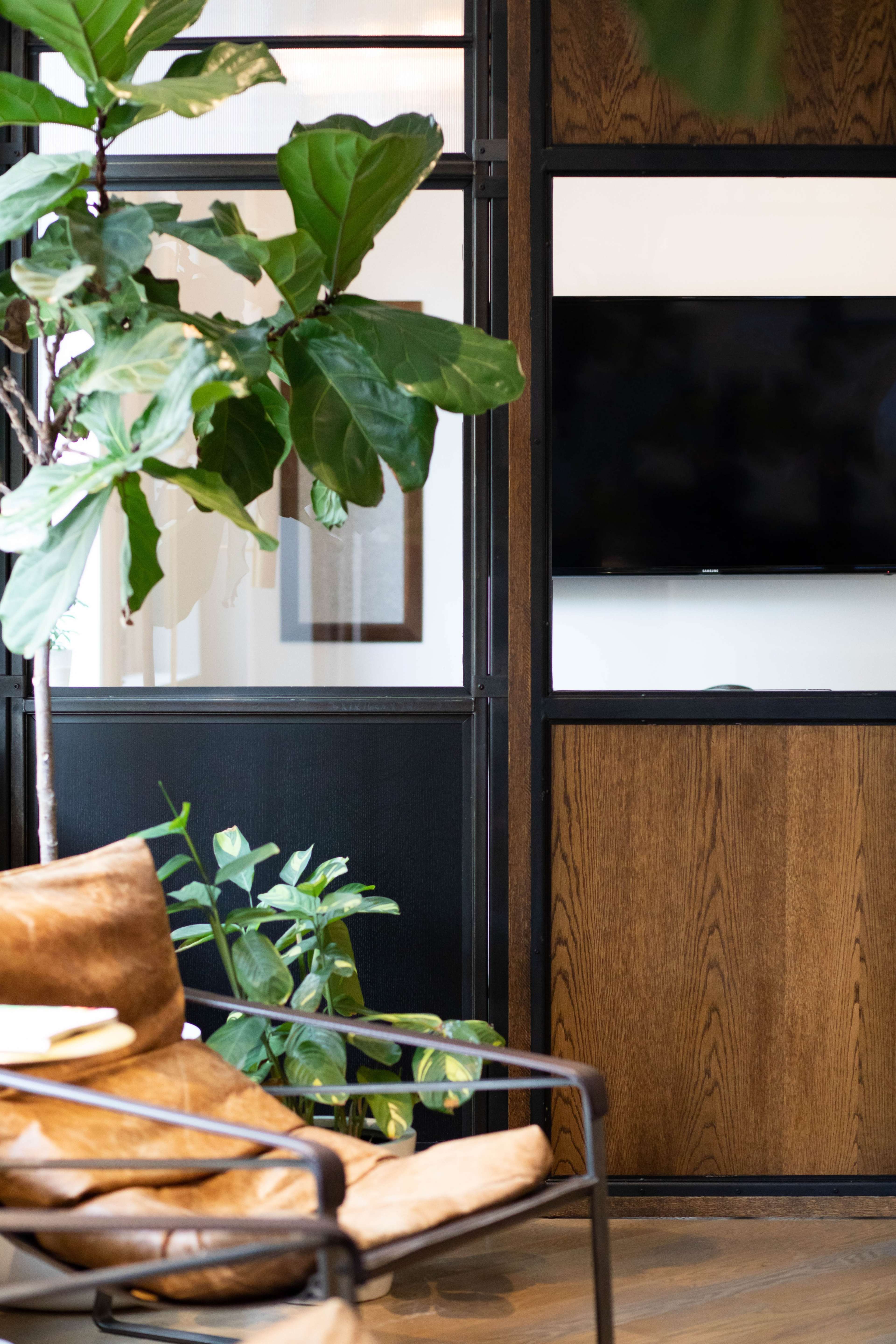 A modern living space with a brown leather chair, a large plant, and a wall-mounted television beside wooden panels.