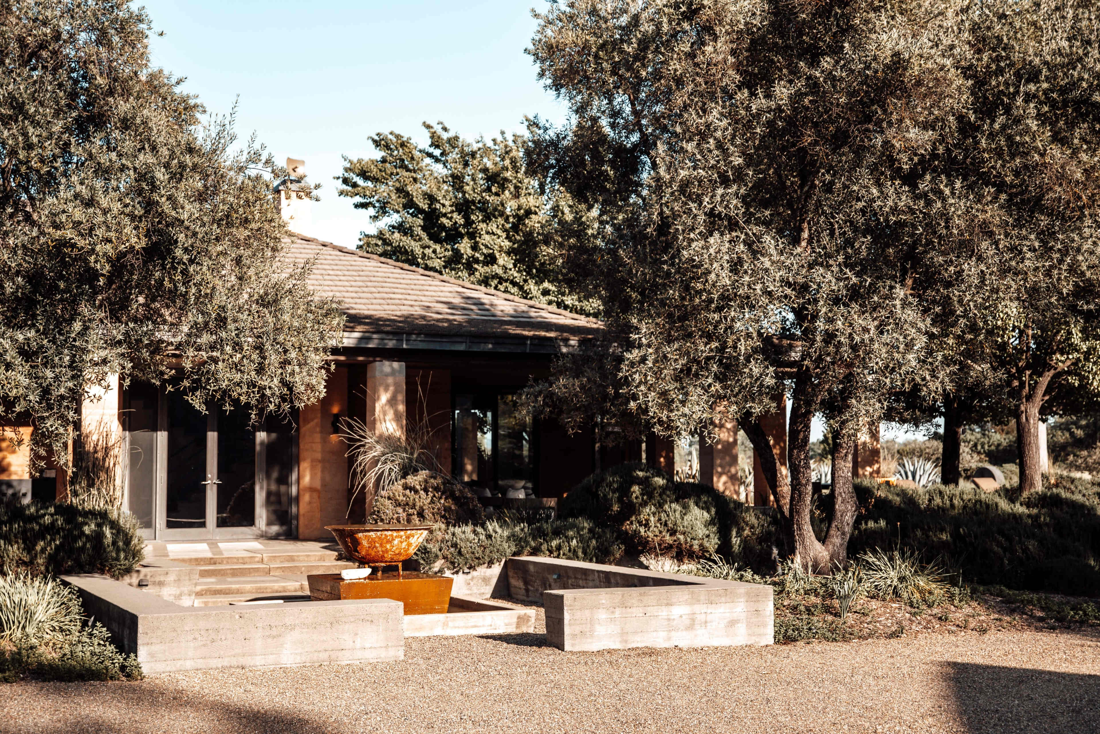 A modern house is framed by olive trees and features a rectangular stone seating area with a fire pit in the center.