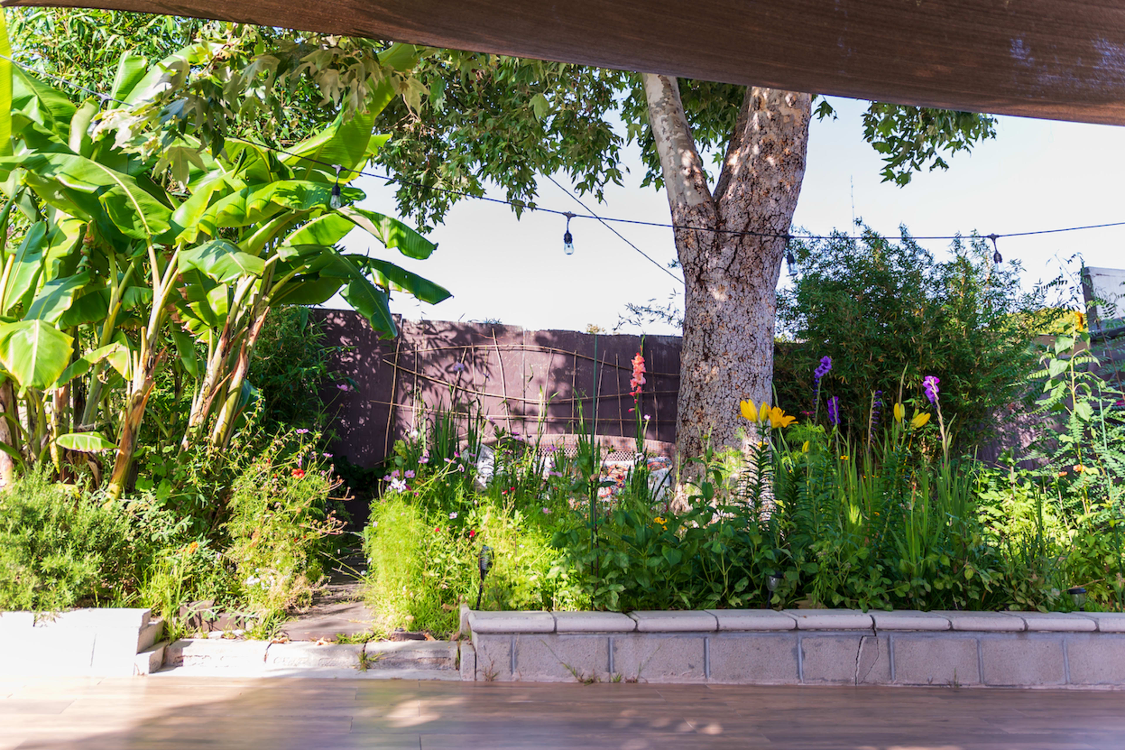 A lush garden with various flowers and greenery surrounding a large tree and bordered by a stone pathway.