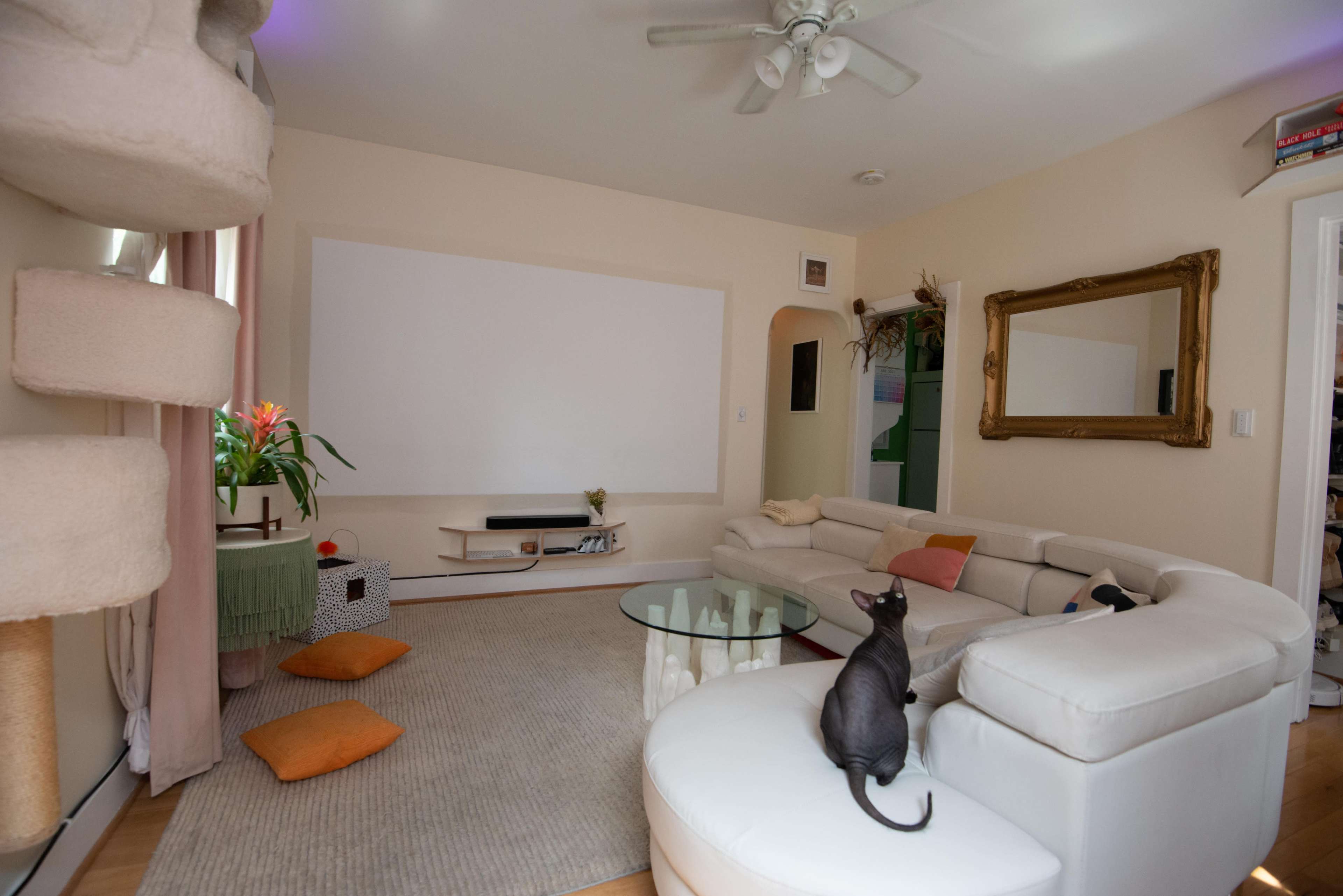 The living room features a beige sectional sofa, a glass coffee table, and a large wall-mounted screen, with a cat sitting on the couch and a few decorative cushions on the floor.