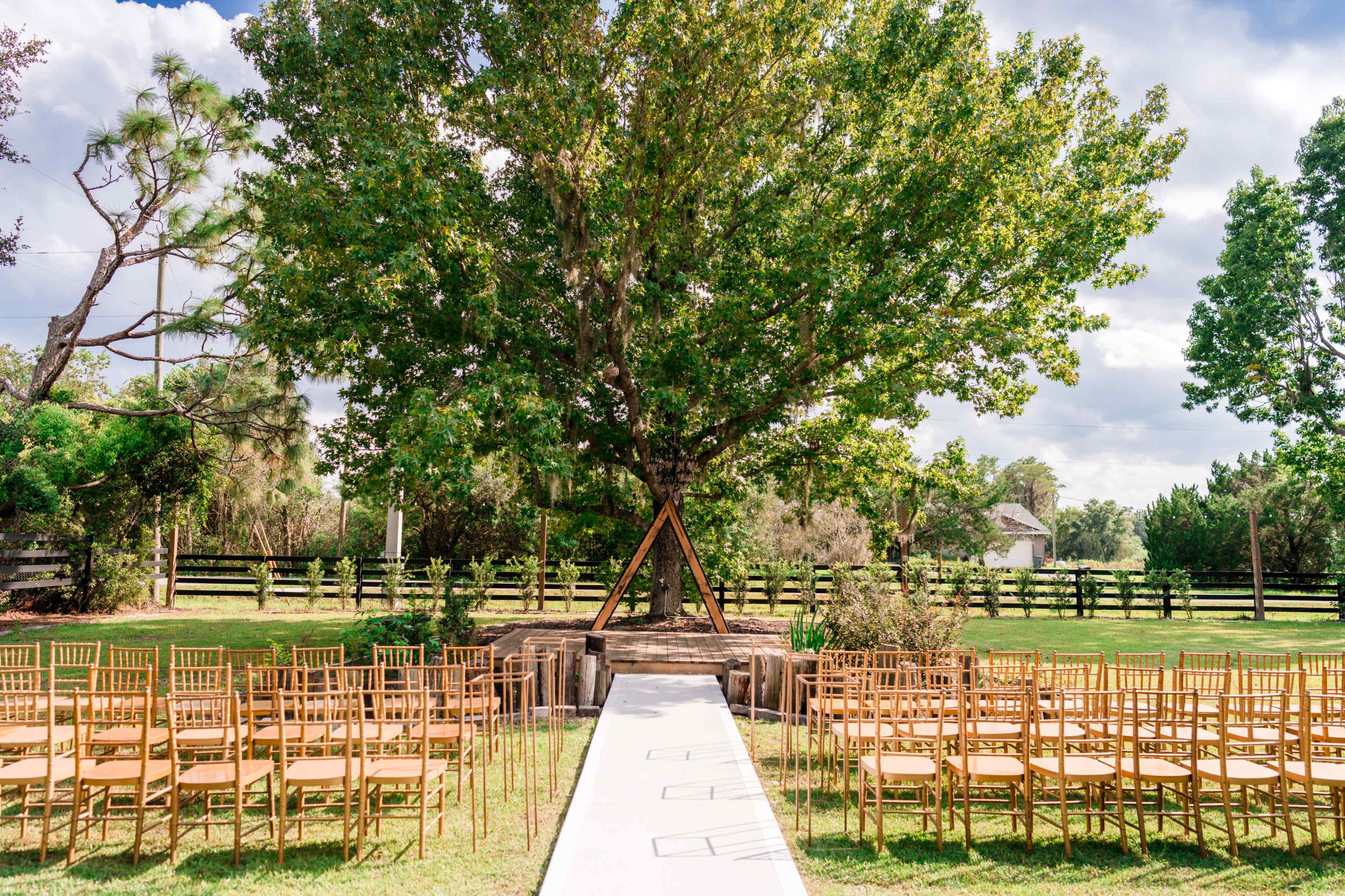 A ceremony site features rows of golden chairs arranged facing a white aisle, leading to a large tree in a grassy area.