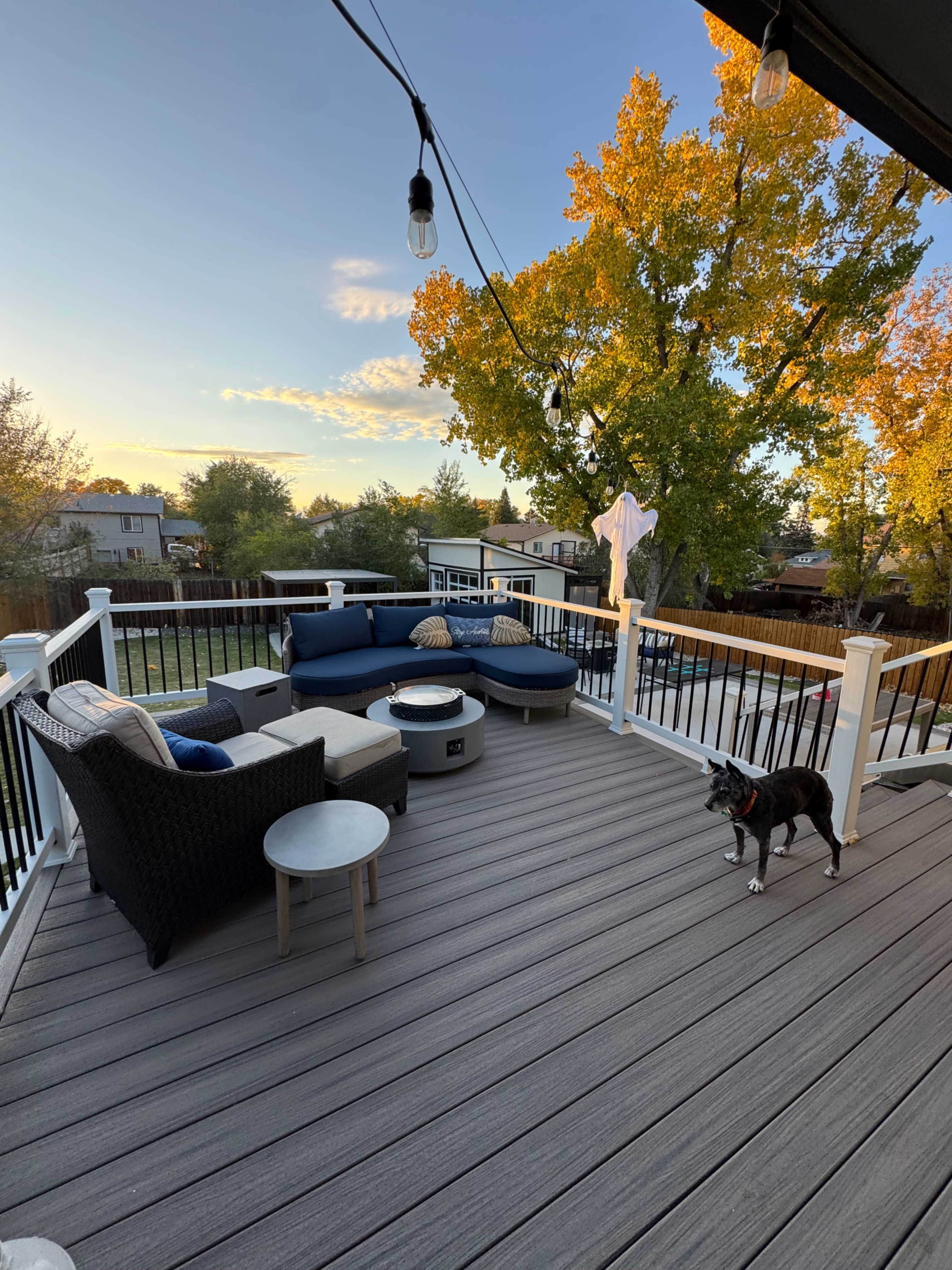 A spacious deck features outdoor furniture arranged around a small table, with a dog standing nearby and trees showing autumn foliage in the background.