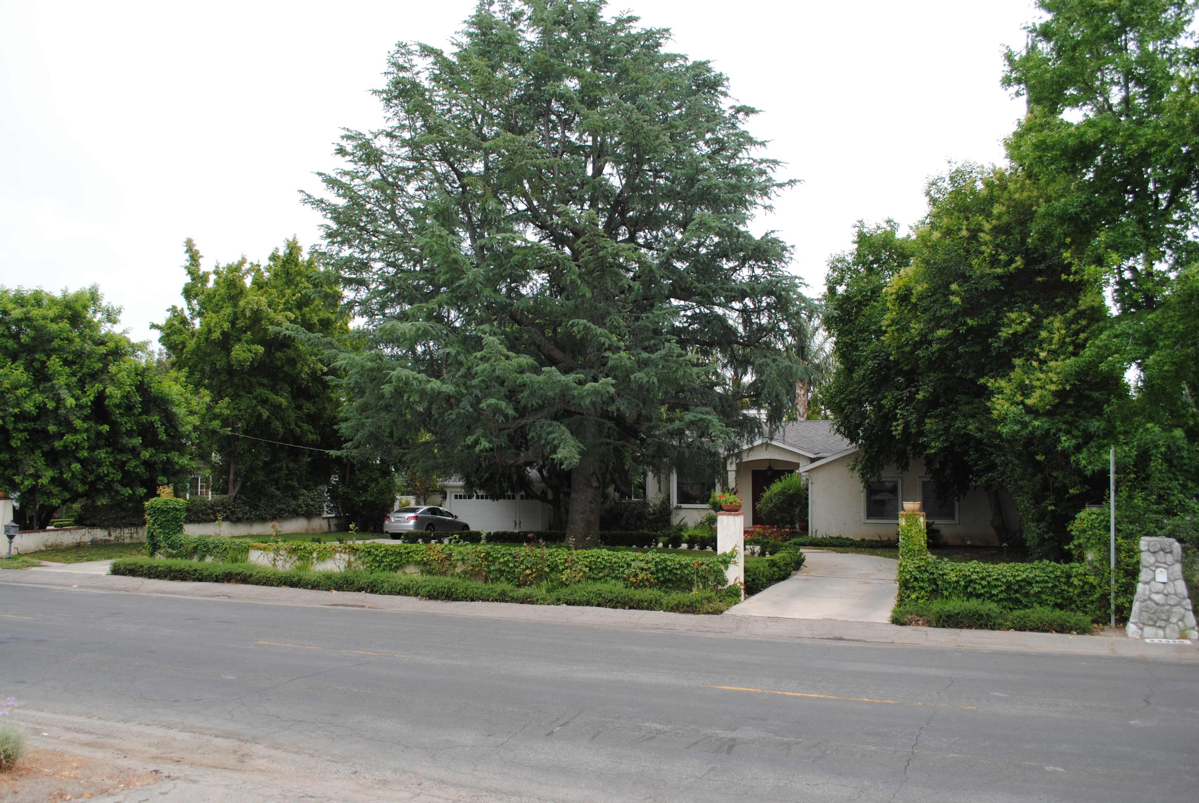 A large house surrounded by lush greenery and a prominent tree is located on a residential street.