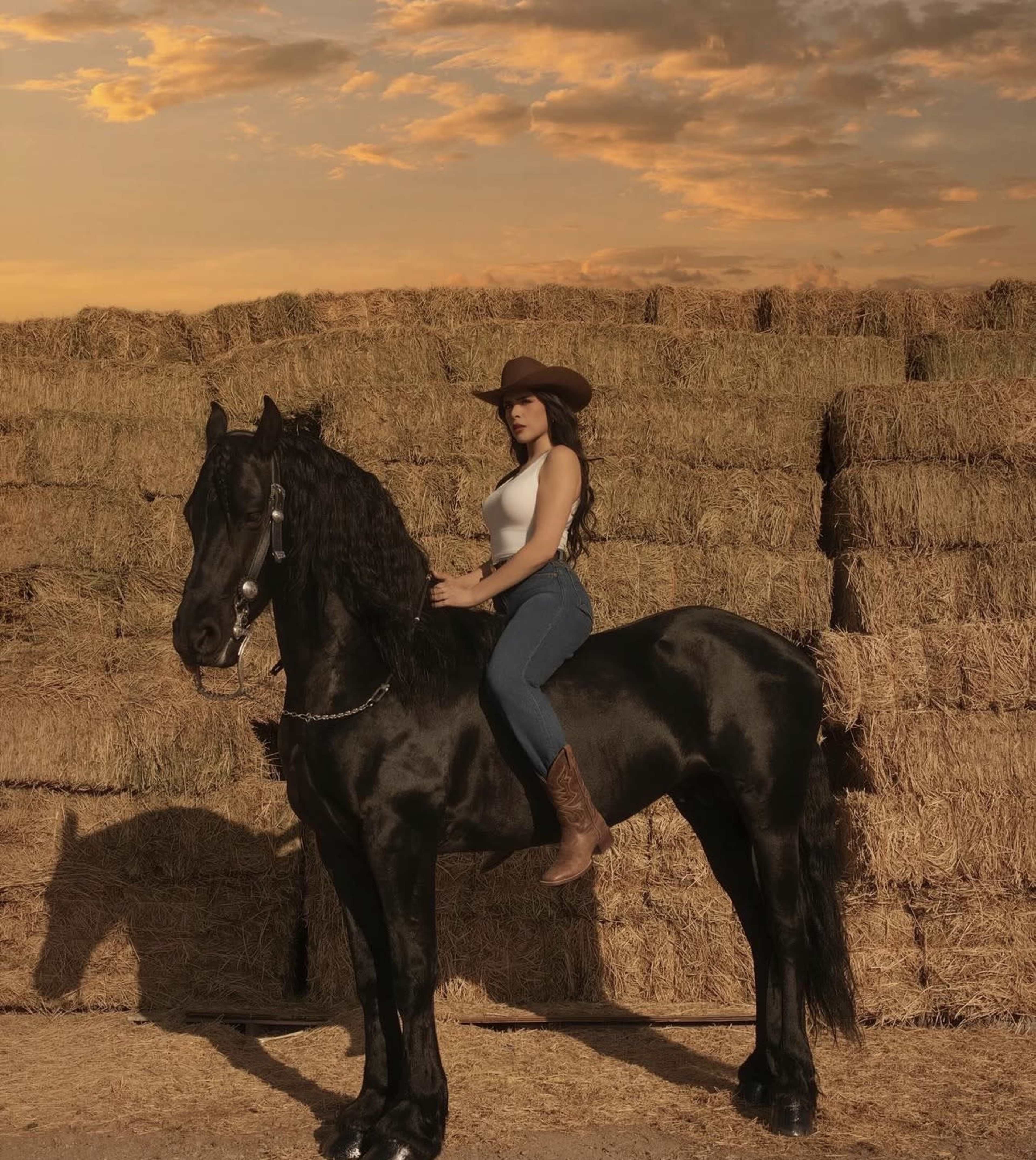 A woman in a cowboy hat and brown boots sits atop a black horse in front of stacked hay bales under a sunset sky.