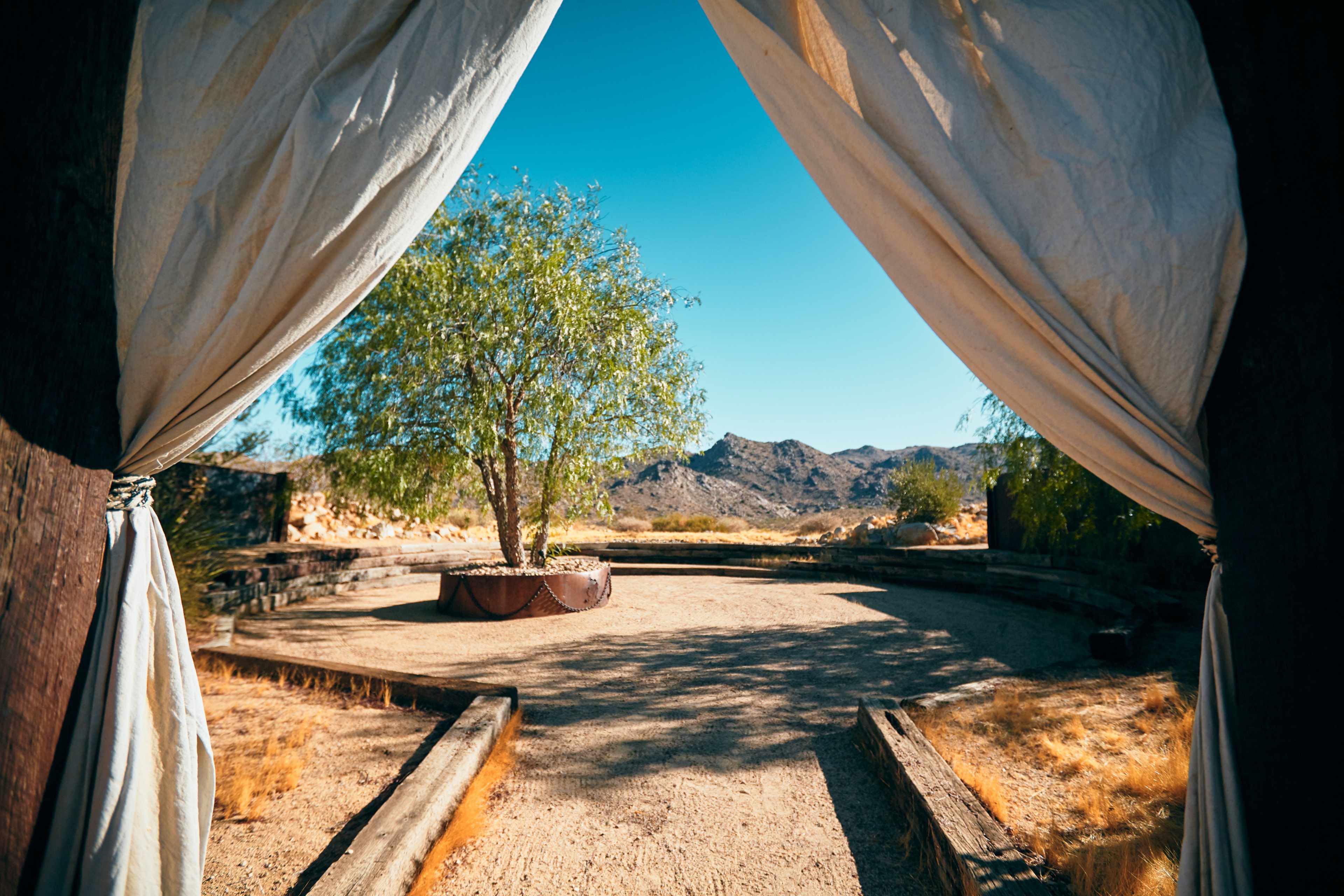 A view through draped fabric reveals a barren landscape with a tree and mountains in the distance.
