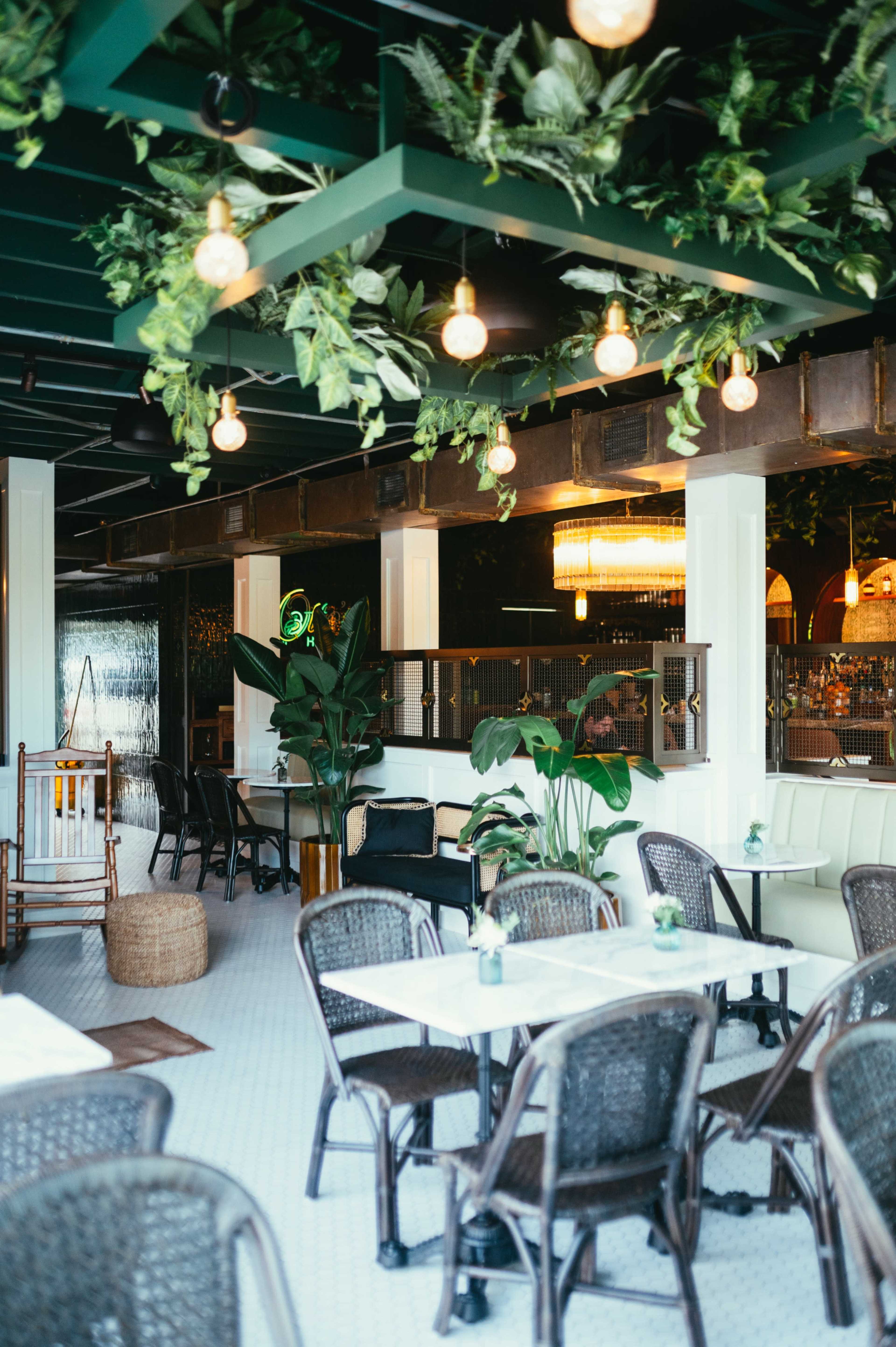 The image shows a modern café interior with decorative plants, woven chairs, and pendant lighting.